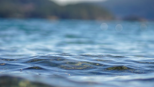 photo of Mayne Island Ocean near Victoria Butterfly Gardens