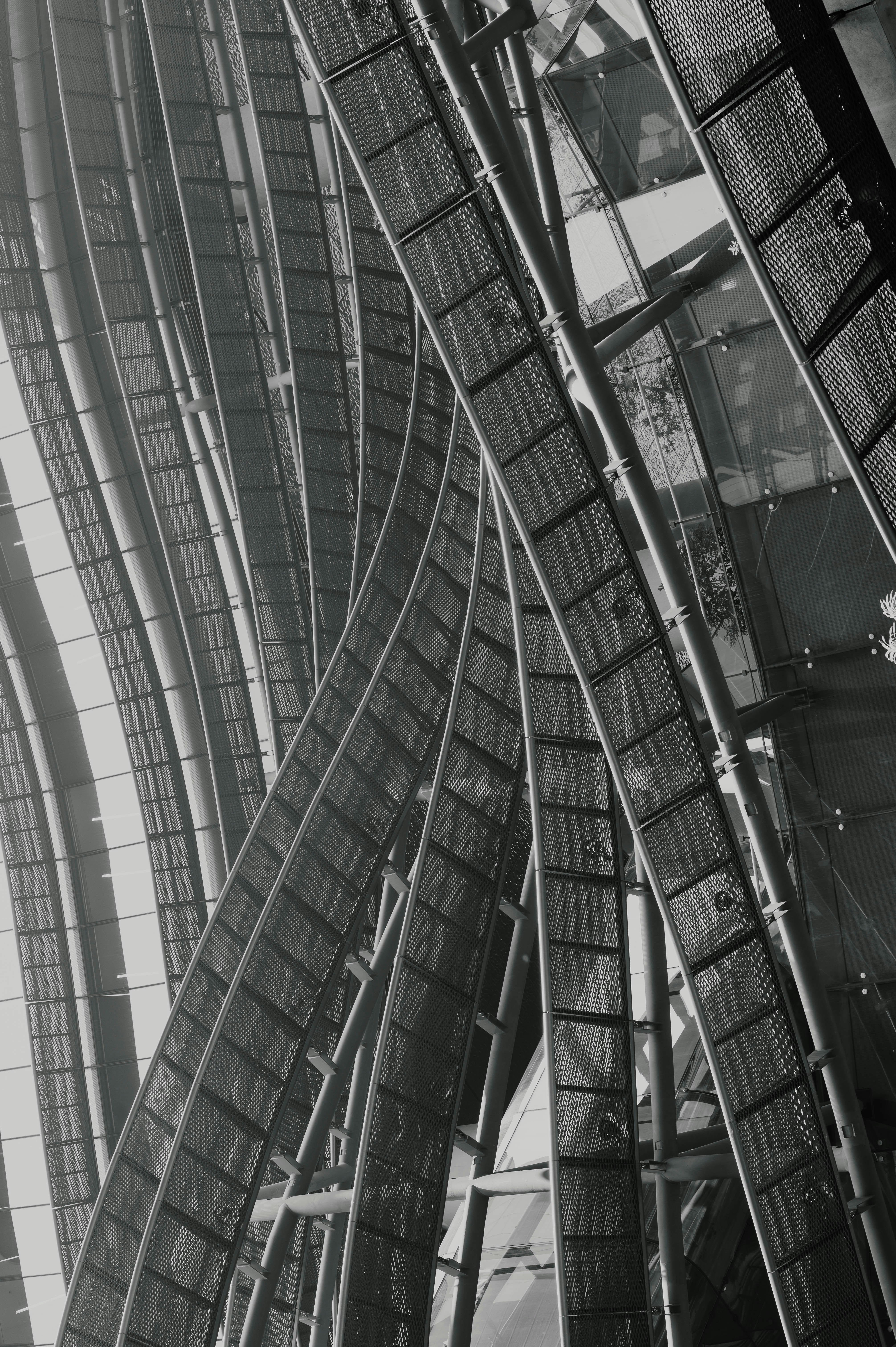 Photo by chuttersnap