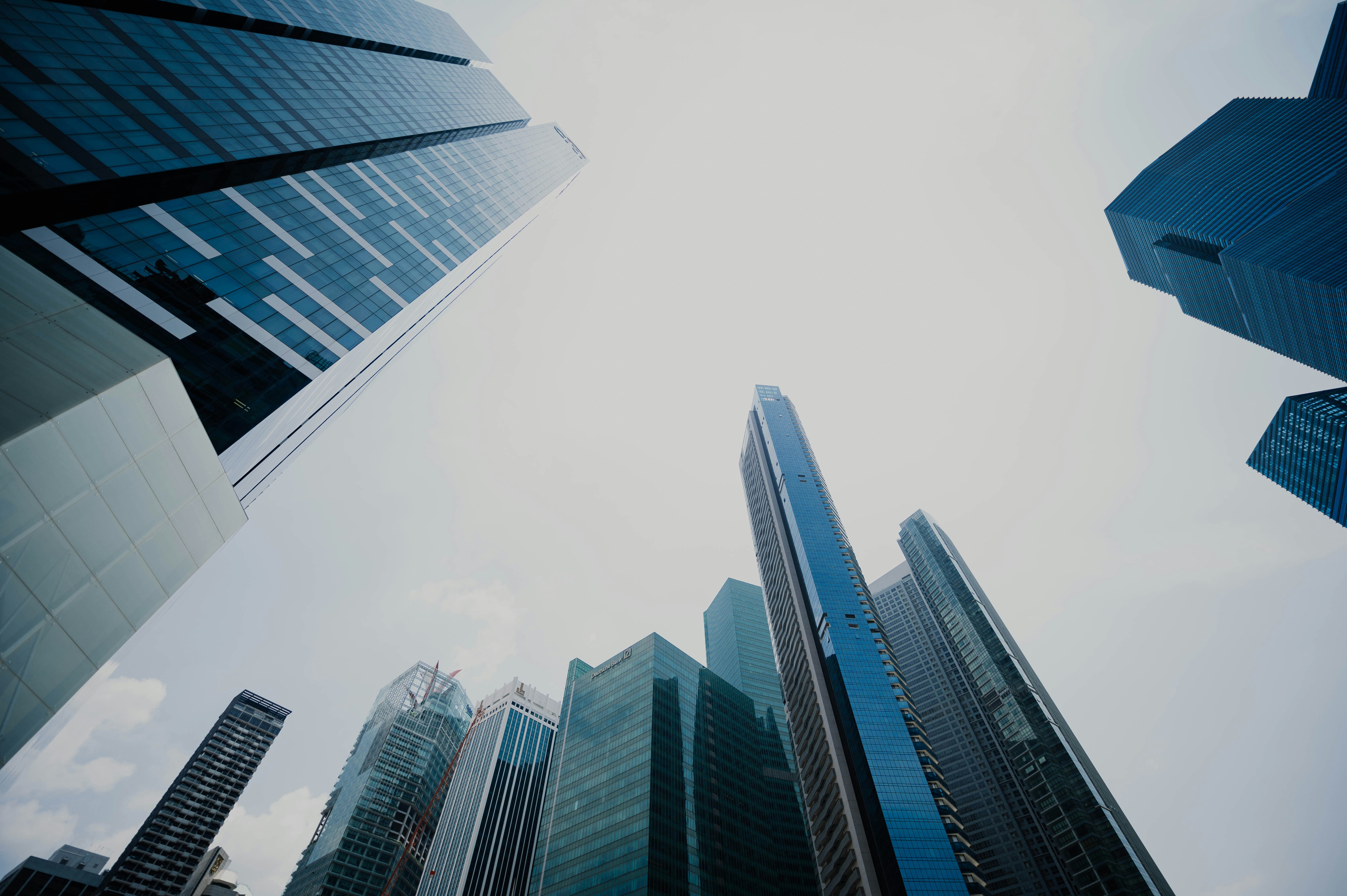 Photo by chuttersnap