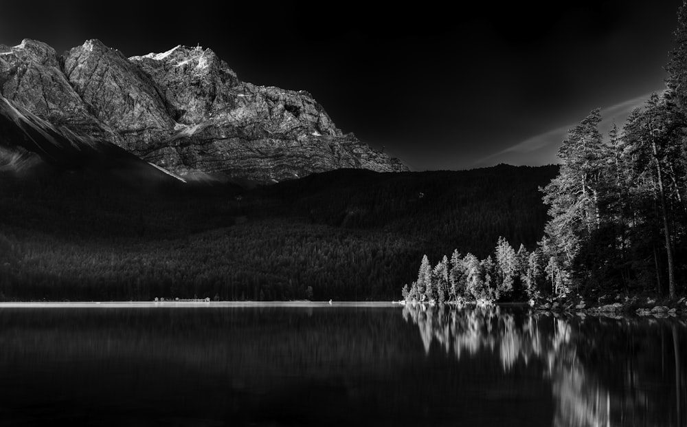 Graustufenfoto des Gewässers