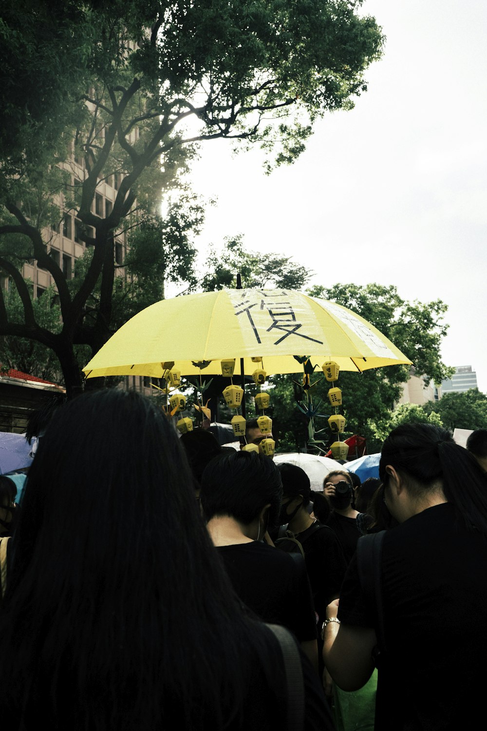 yellow umbrella