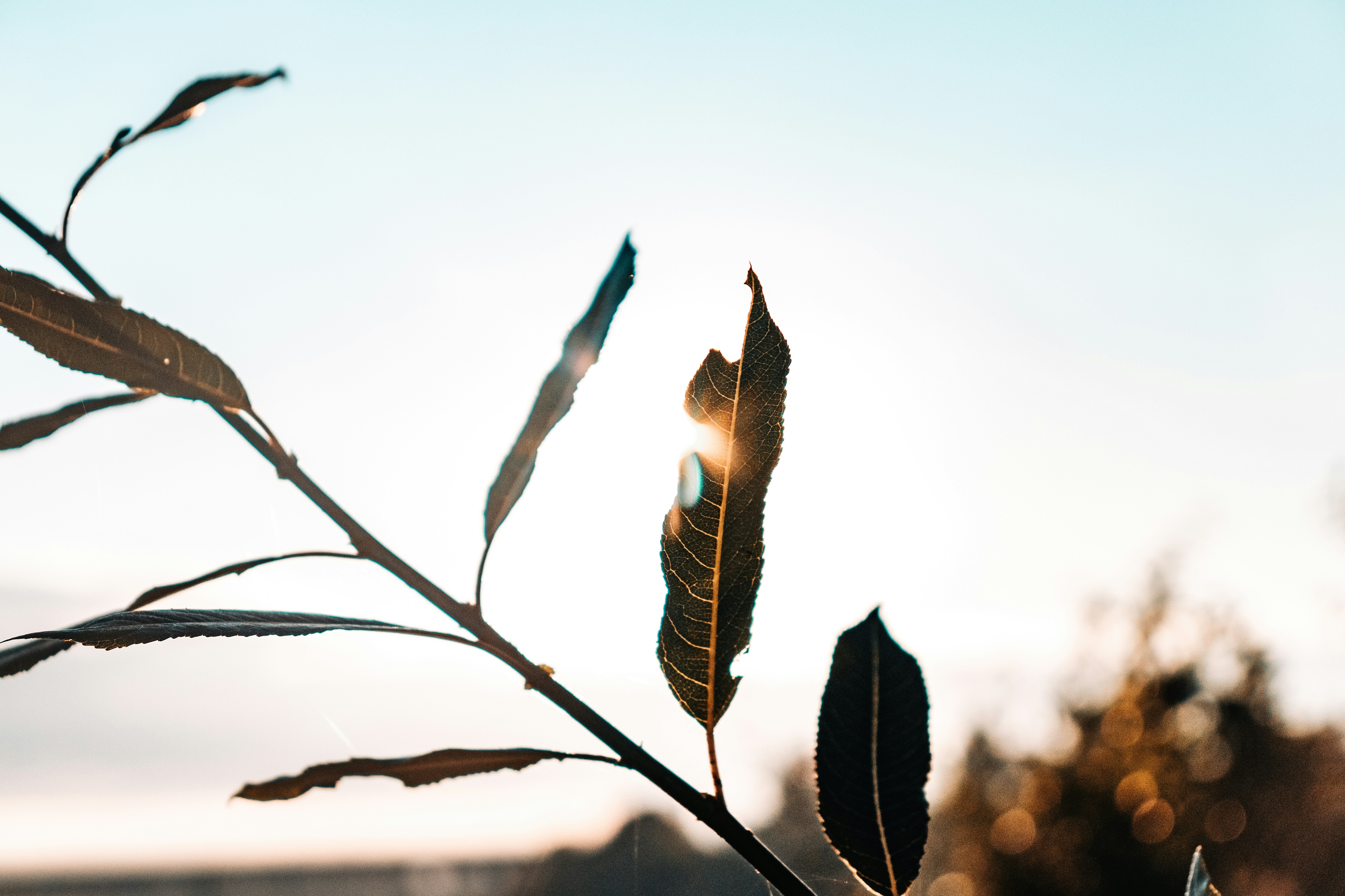 Photo by annadyakov1999