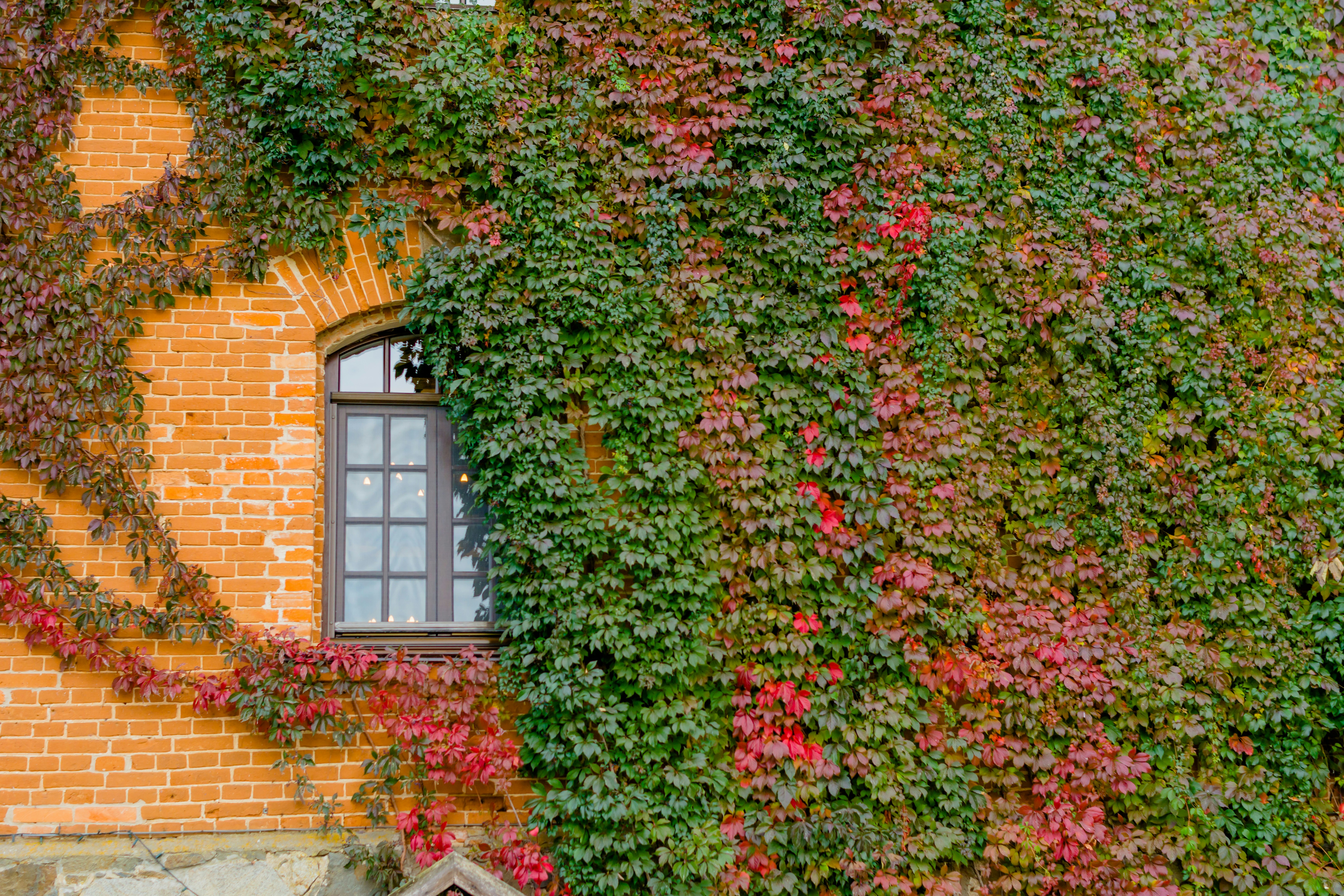 Photo by eugenivy_now