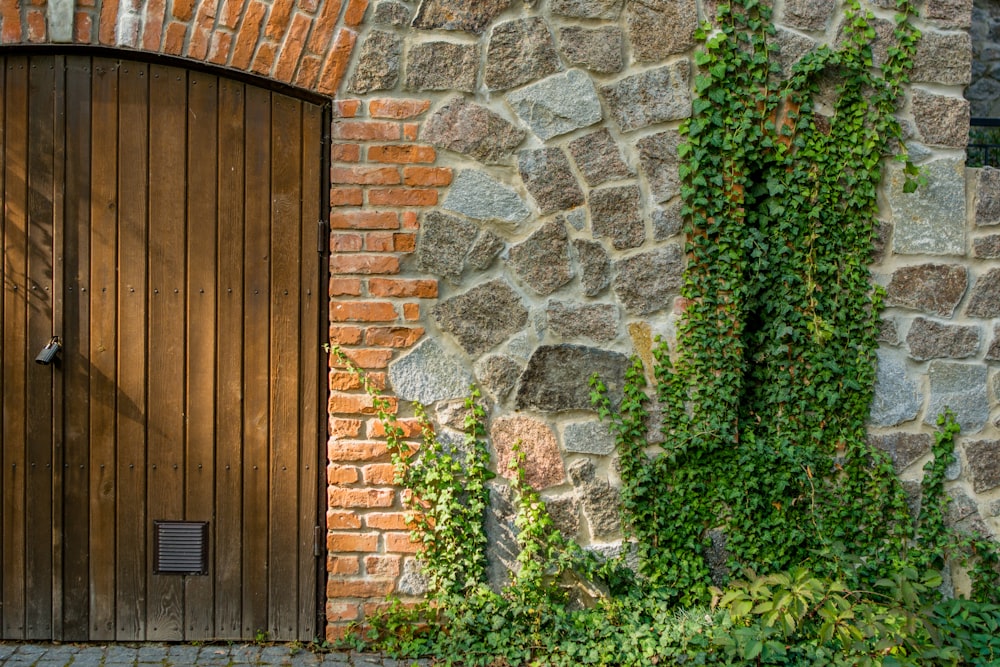 brown wooden plank doors