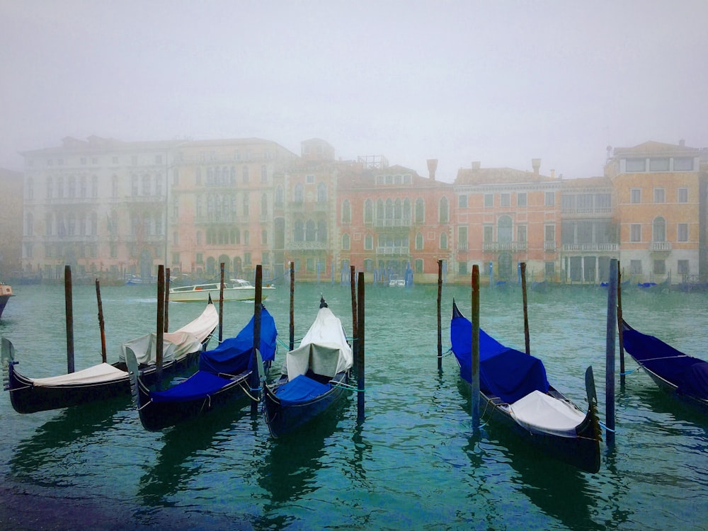gondolas on body of water