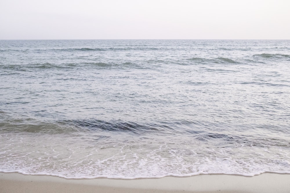 body of water during daytime