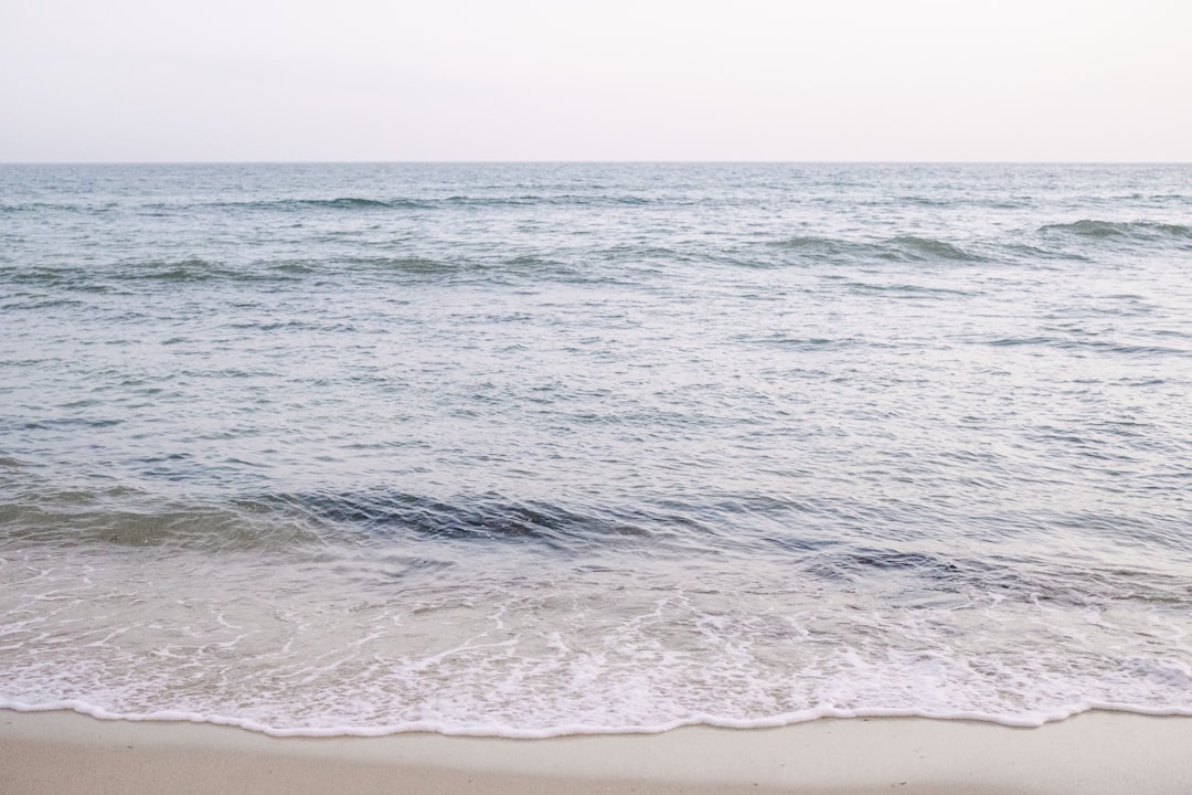 body of water during daytime