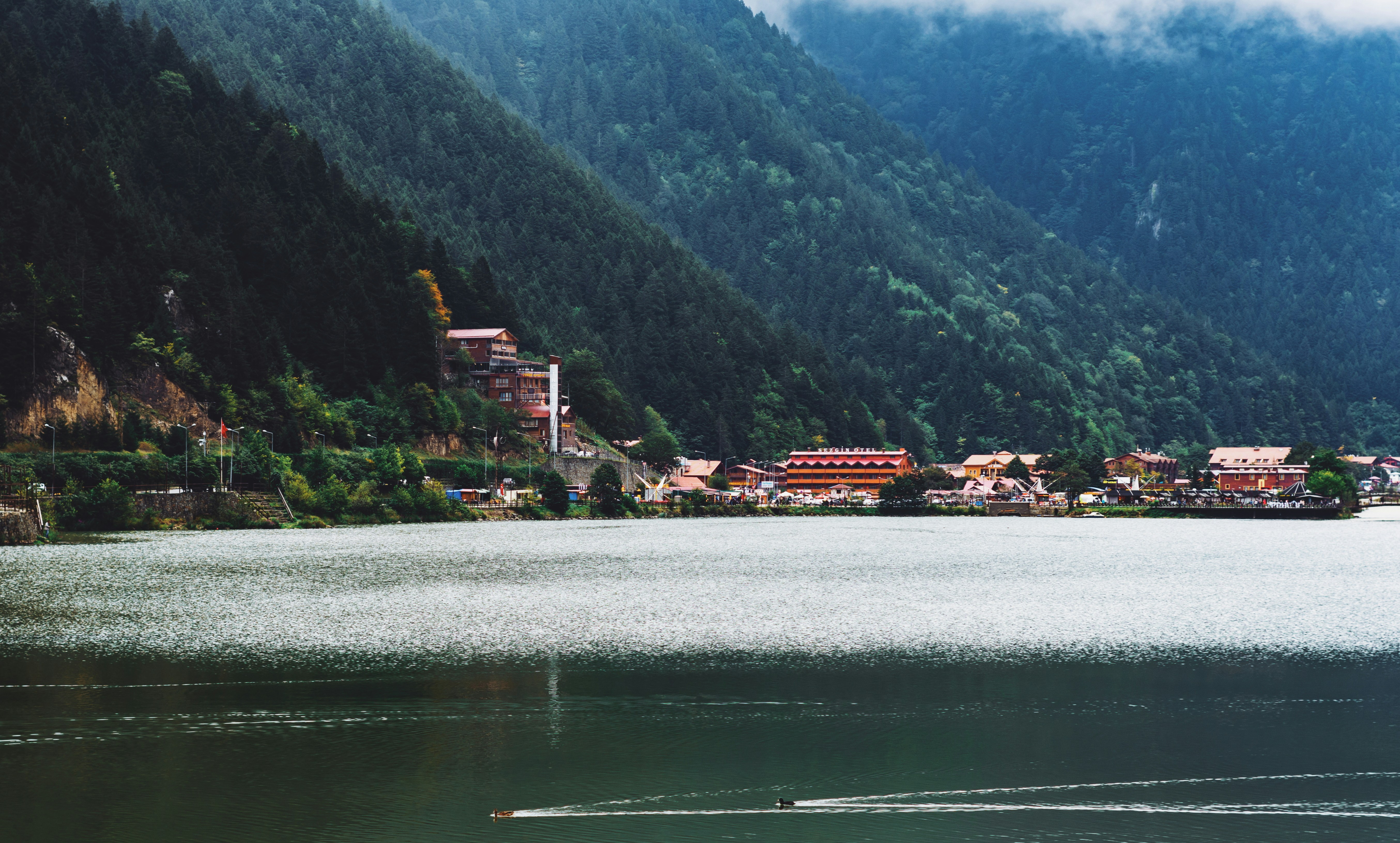 Photo by orkhanfarmanli