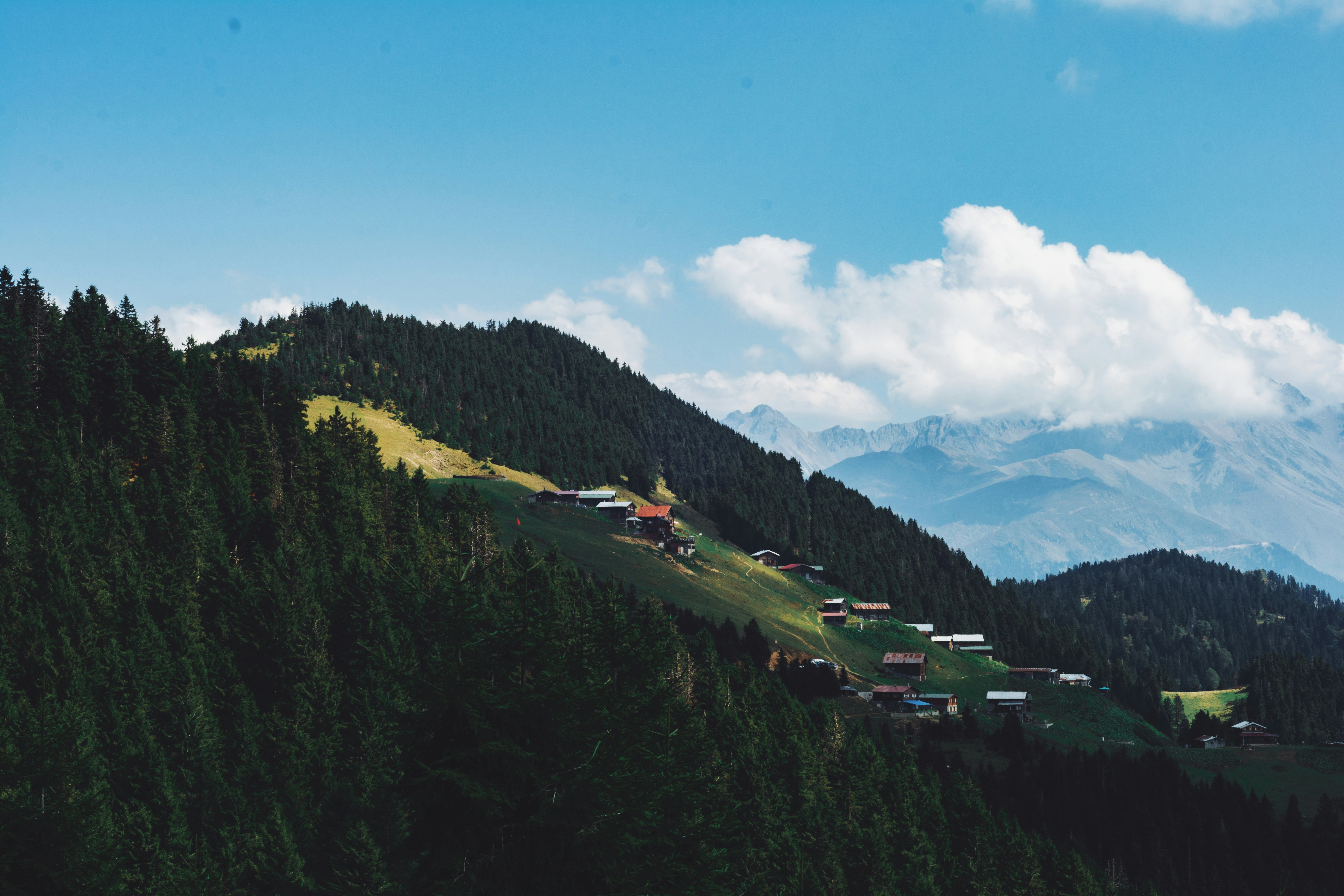 Photo by orkhanfarmanli