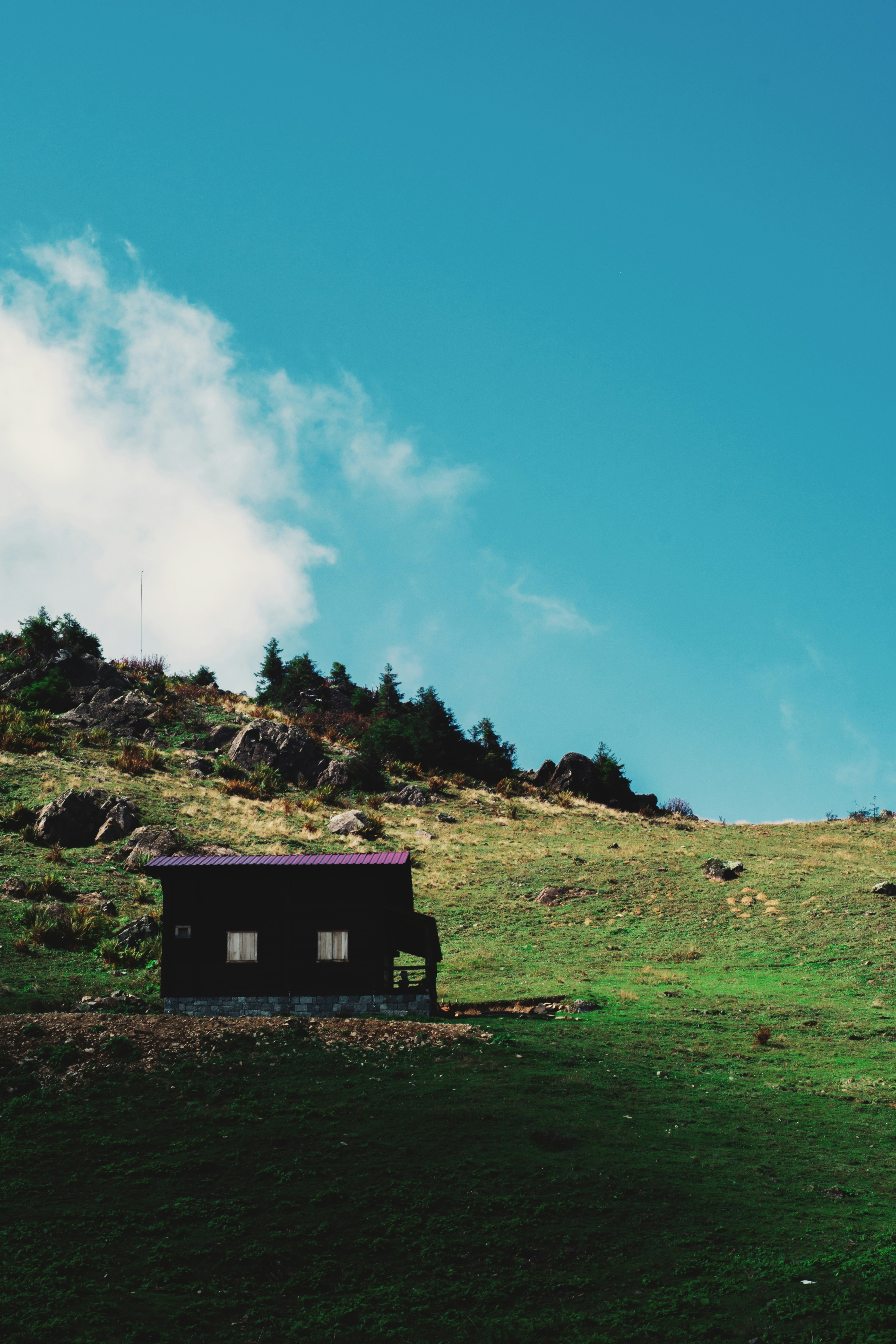 Photo by orkhanfarmanli