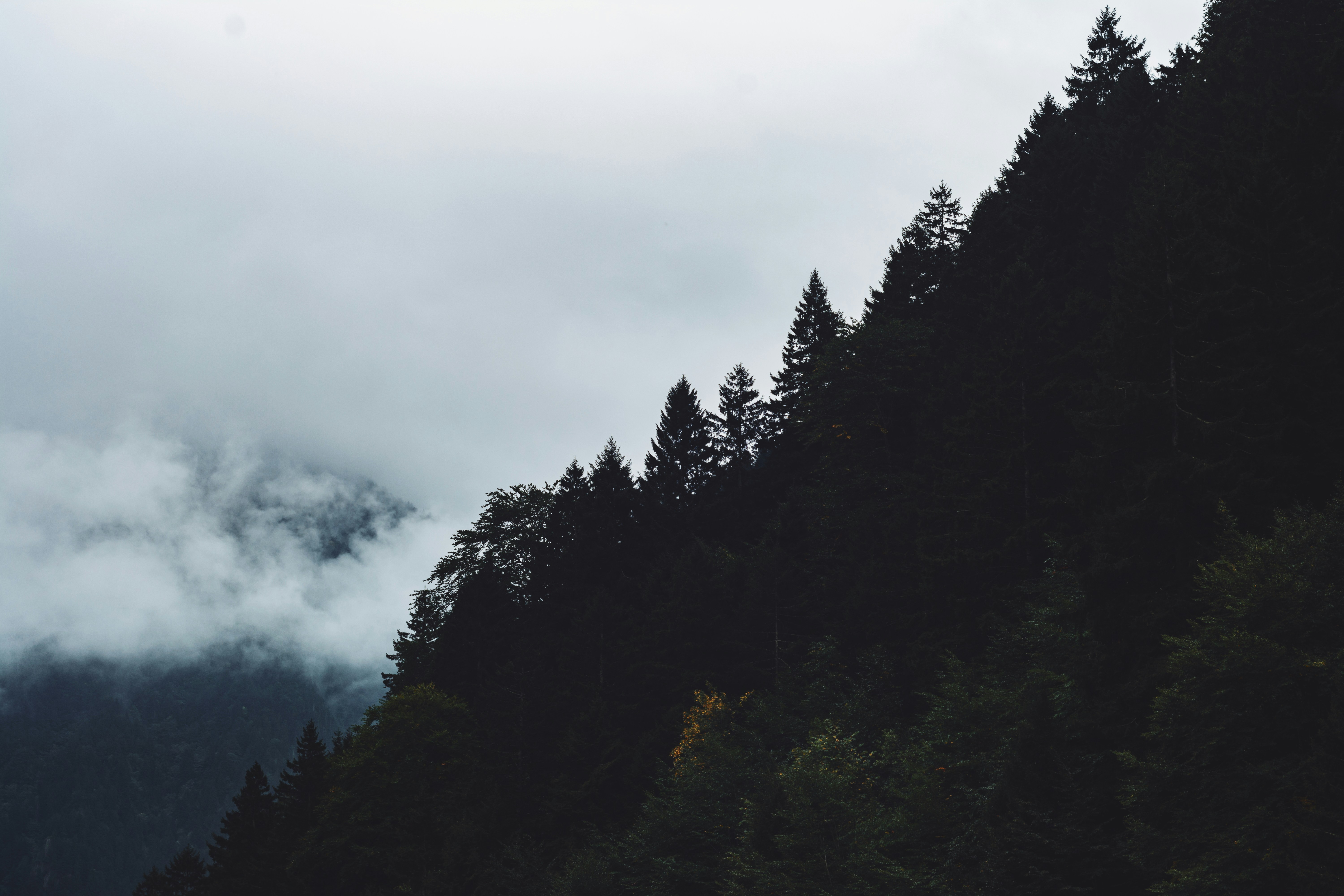 Photo by orkhanfarmanli