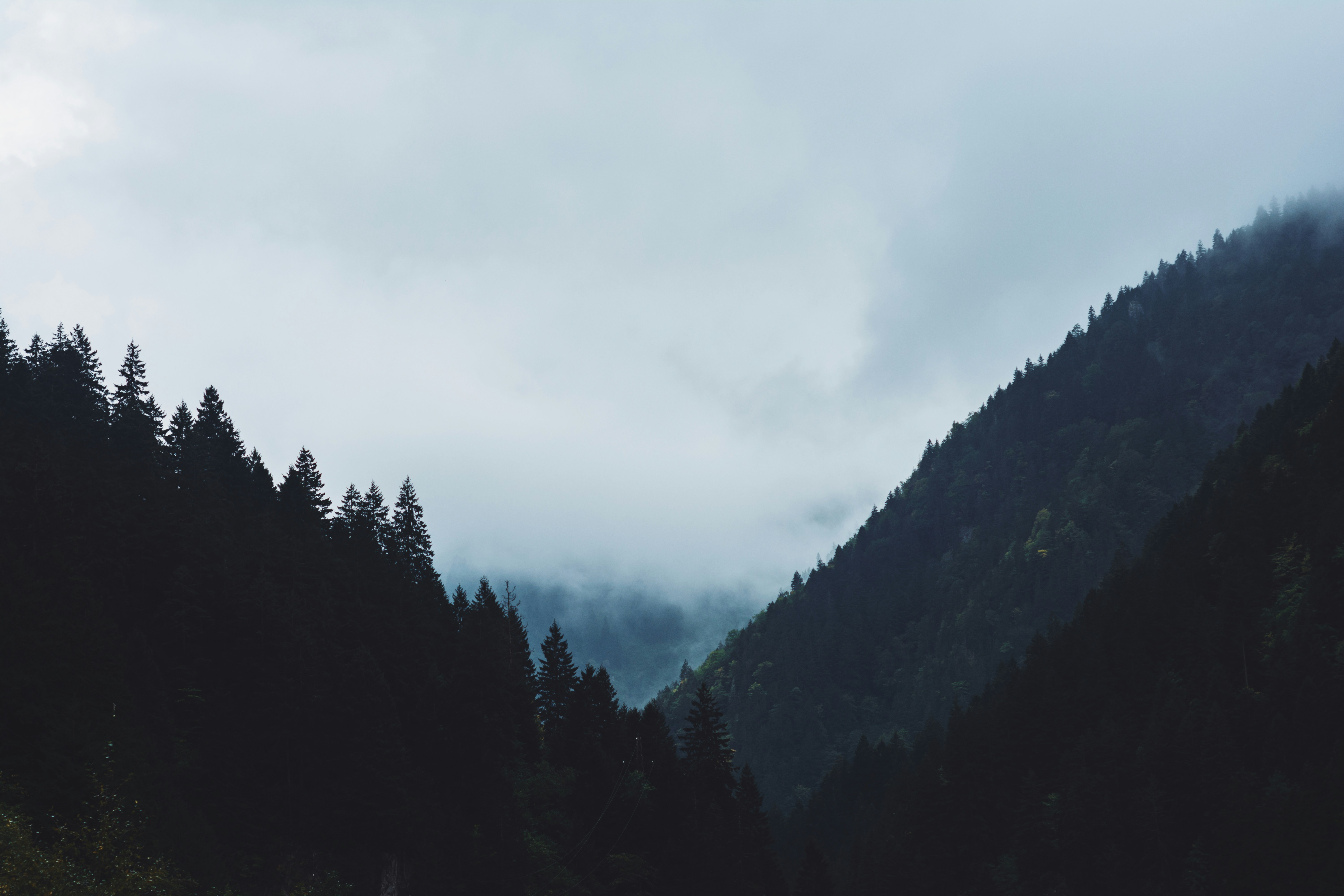 Photo by orkhanfarmanli