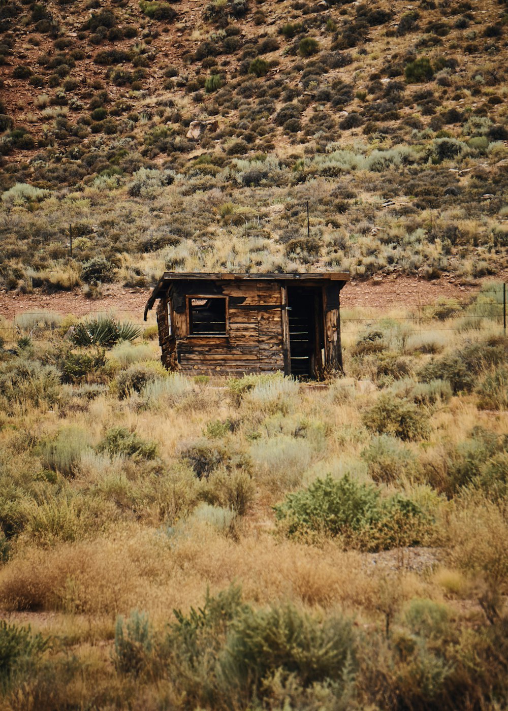 brown wooden house surrounded by grass