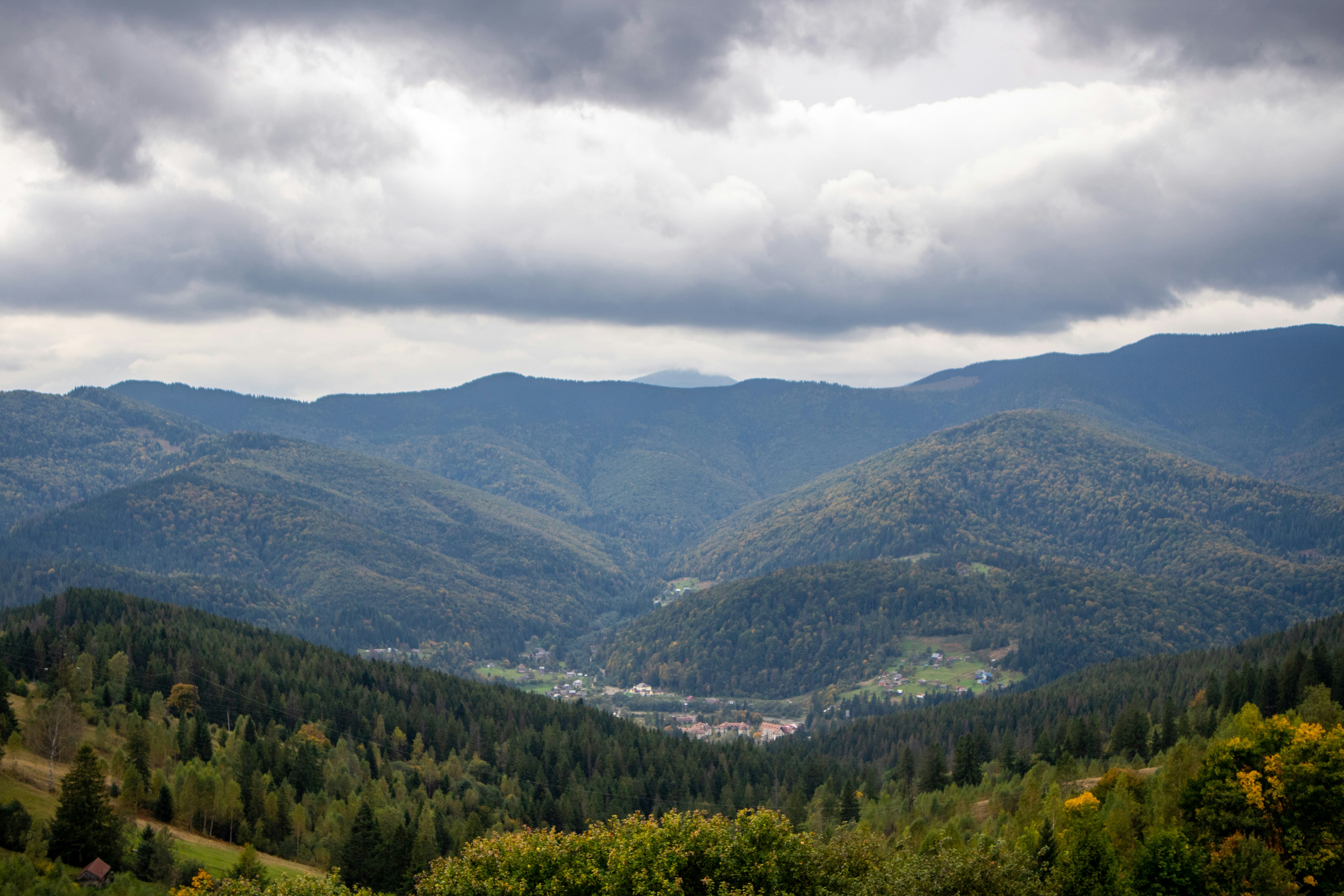 Photo by serhiy_raskoley