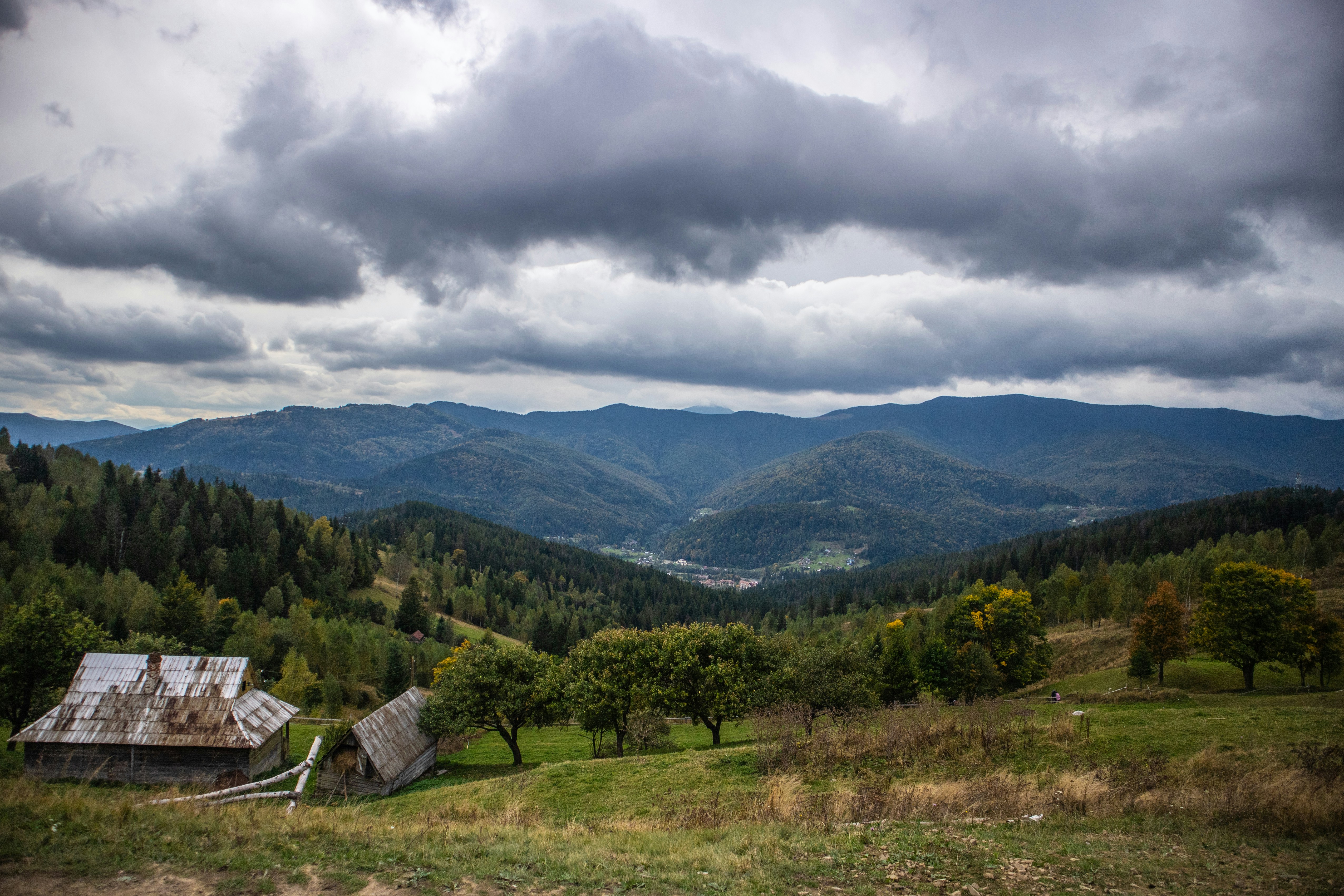 Photo by serhiy_raskoley