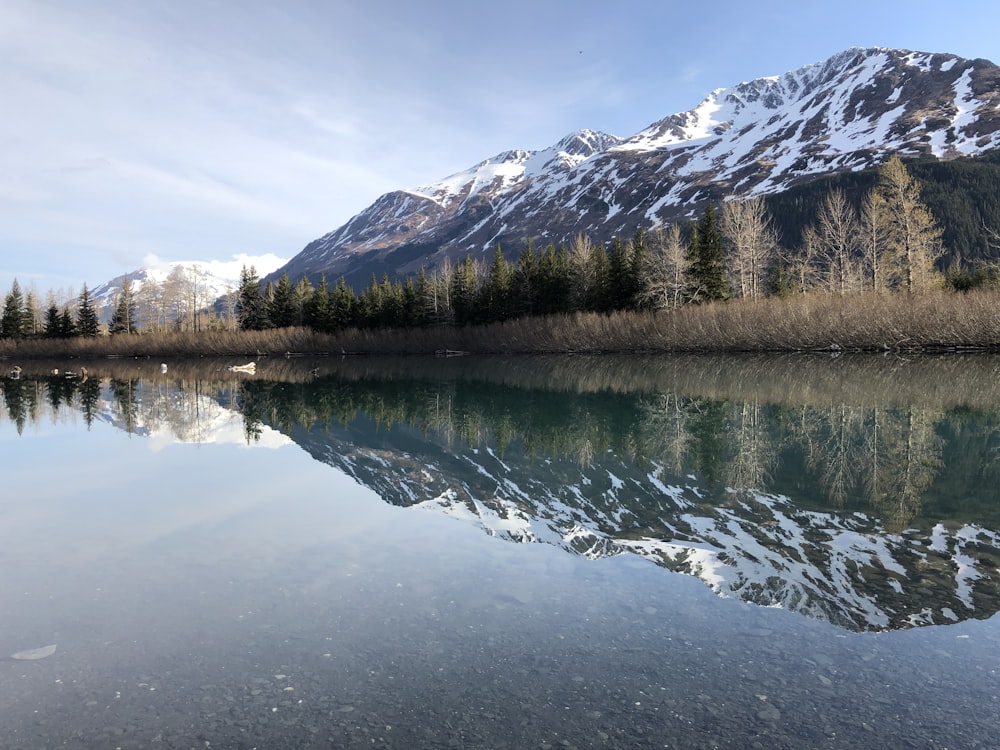 snow covered mountain near body of water during daytime