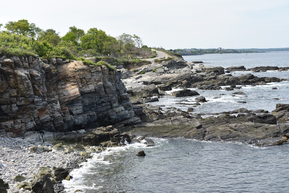 gray rocky island near green-leafed tree