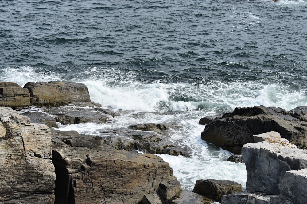 wavy seashore during daytime