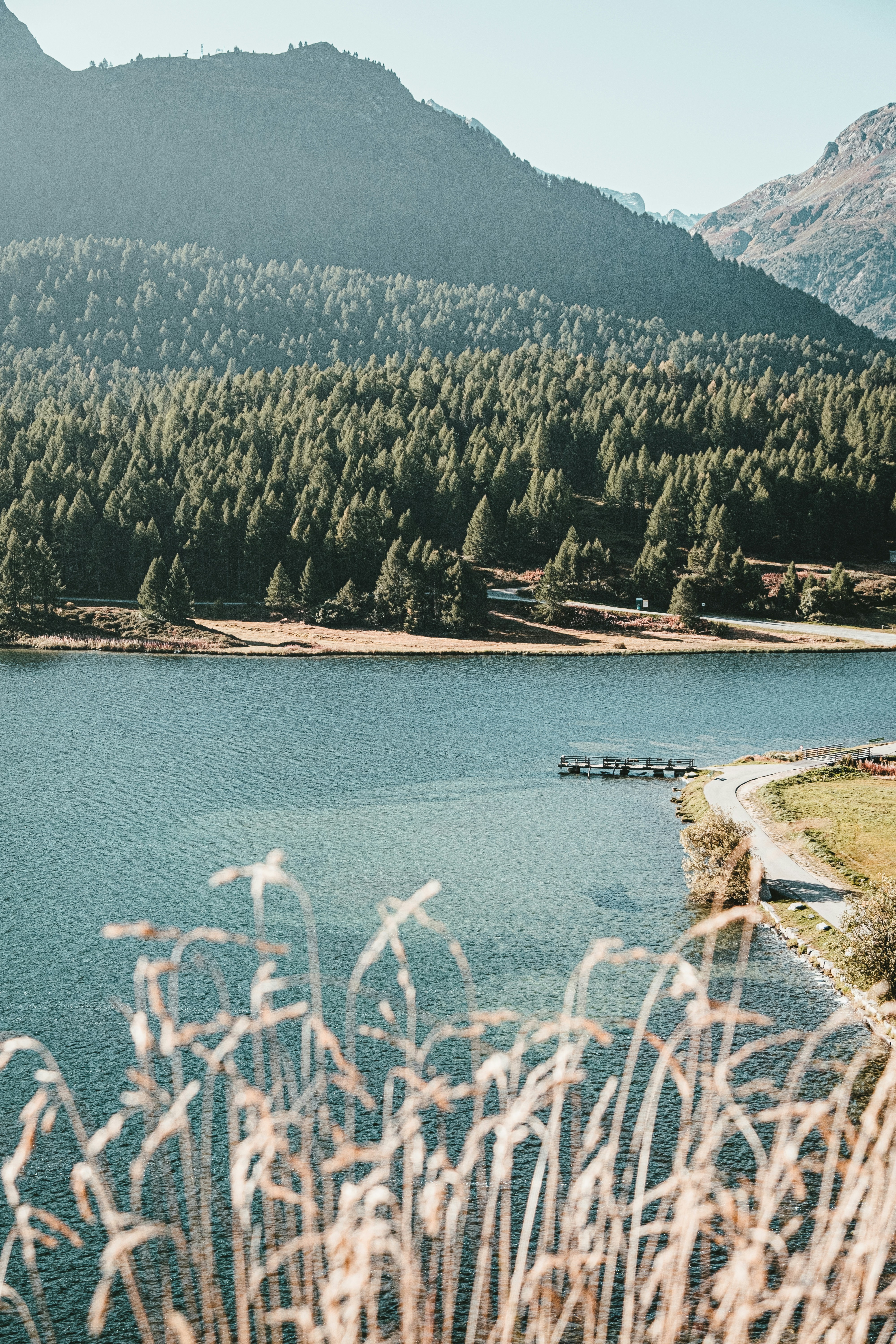 Photo by conti_photos