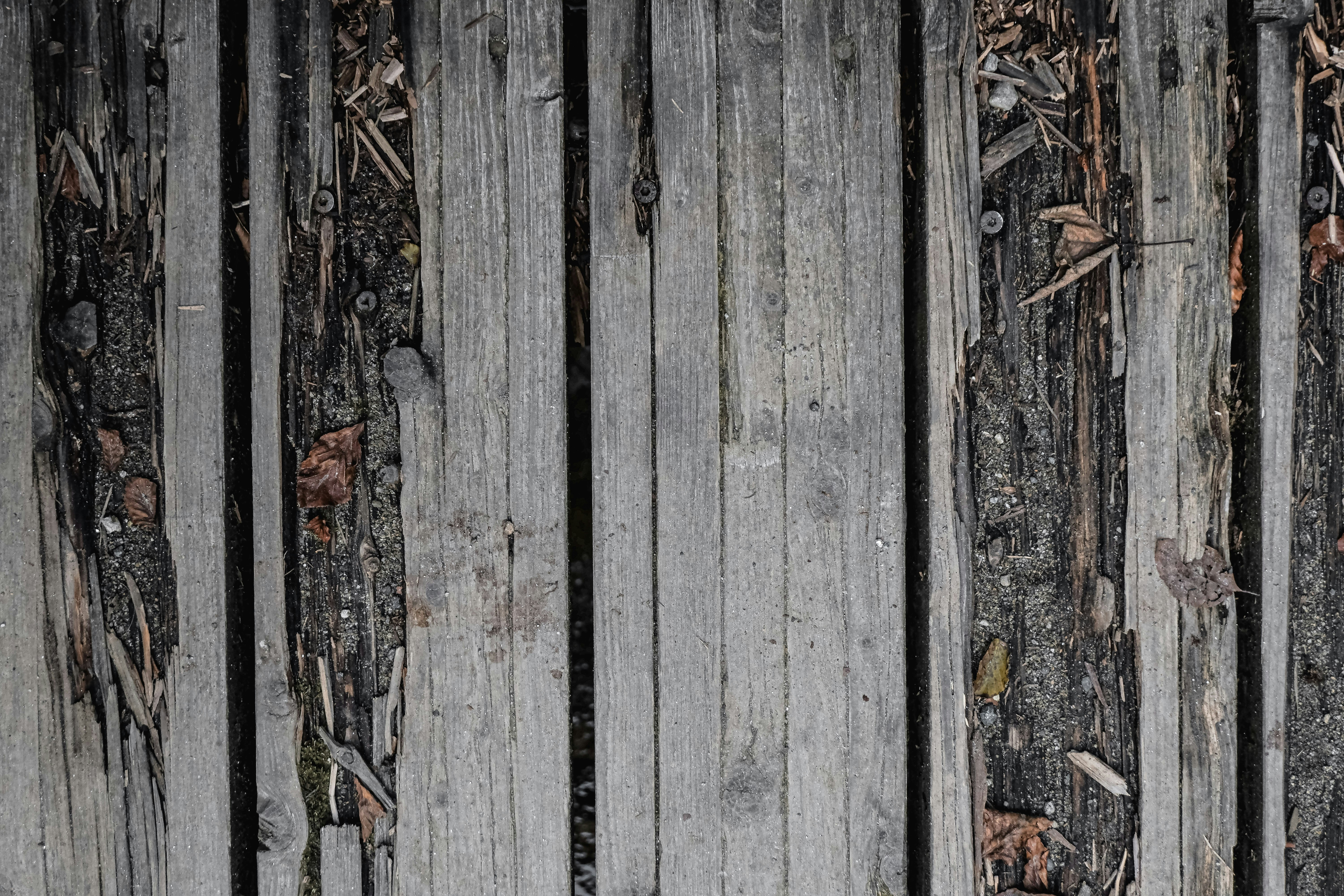 Photo by giulia_bertelli