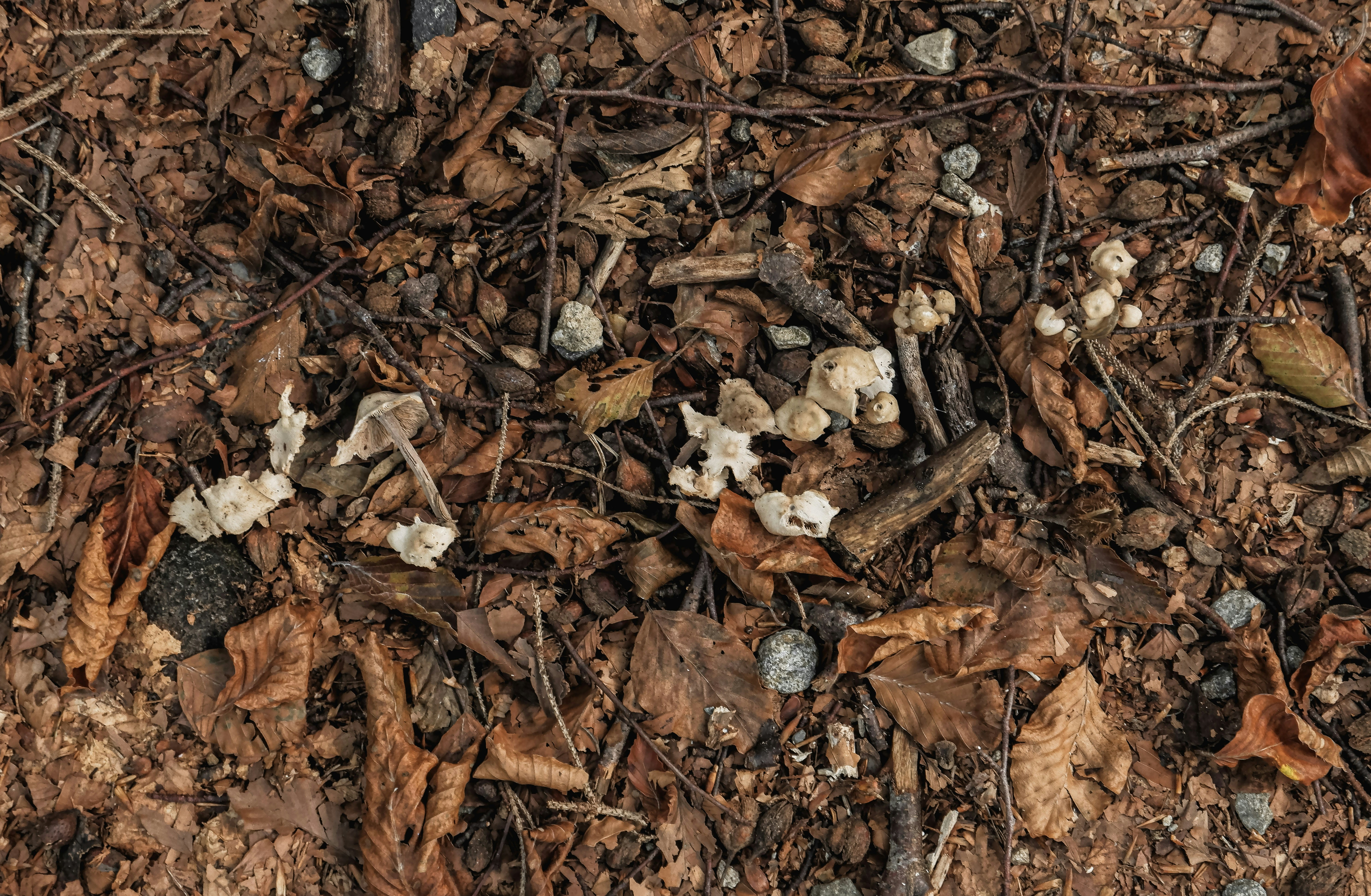 Photo by giulia_bertelli