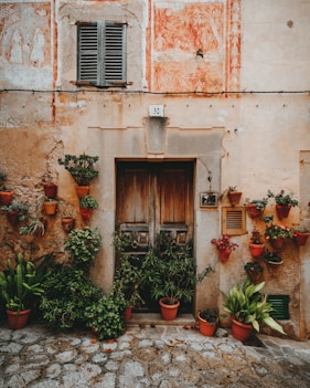 green plants near door