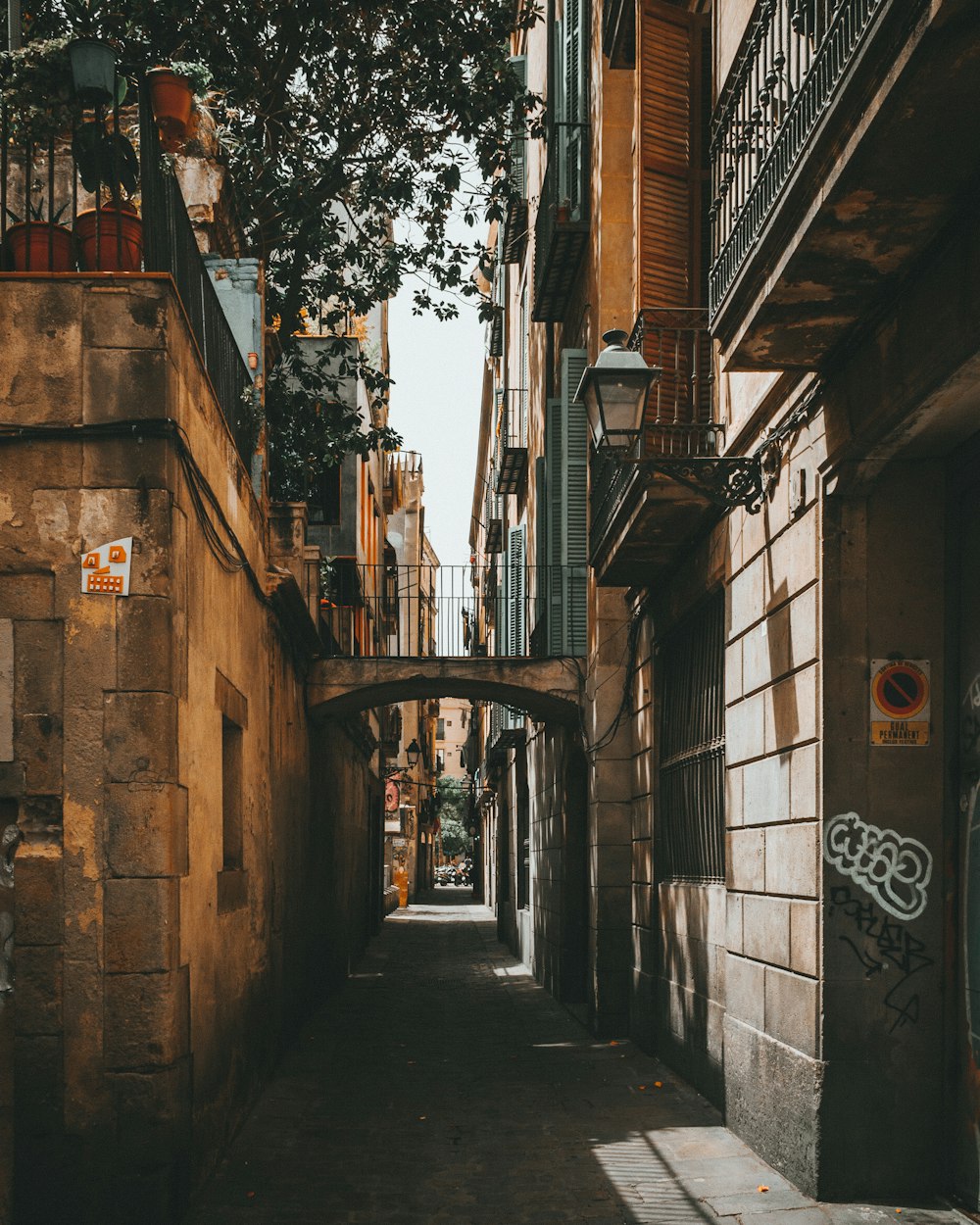 empty road between concrete buildings