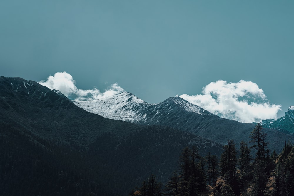 aerial photography of mountain