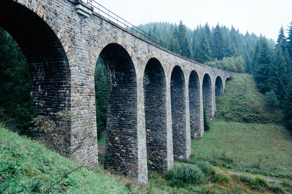 brown concrete bridge