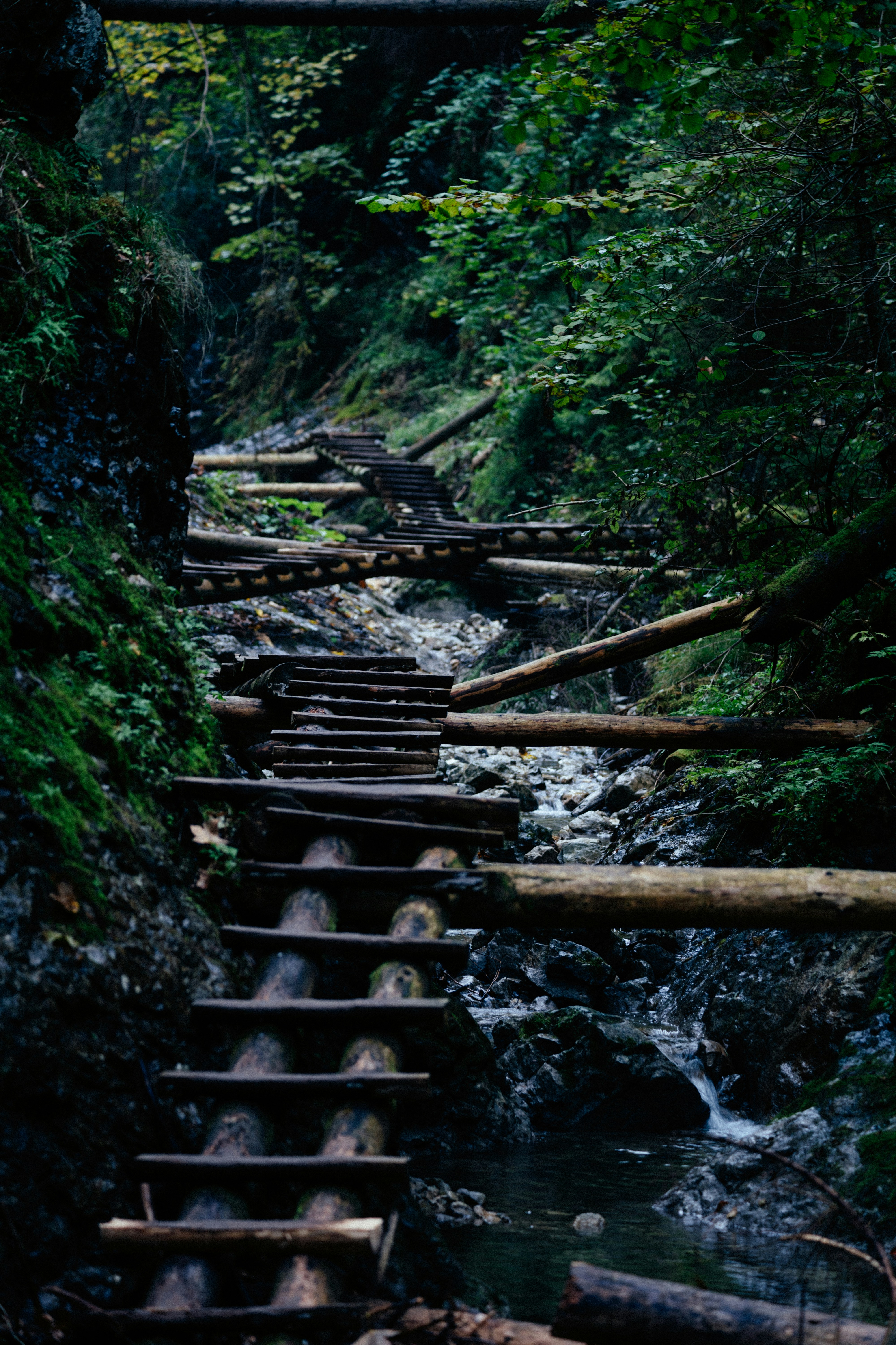 Photo by ballaschottner