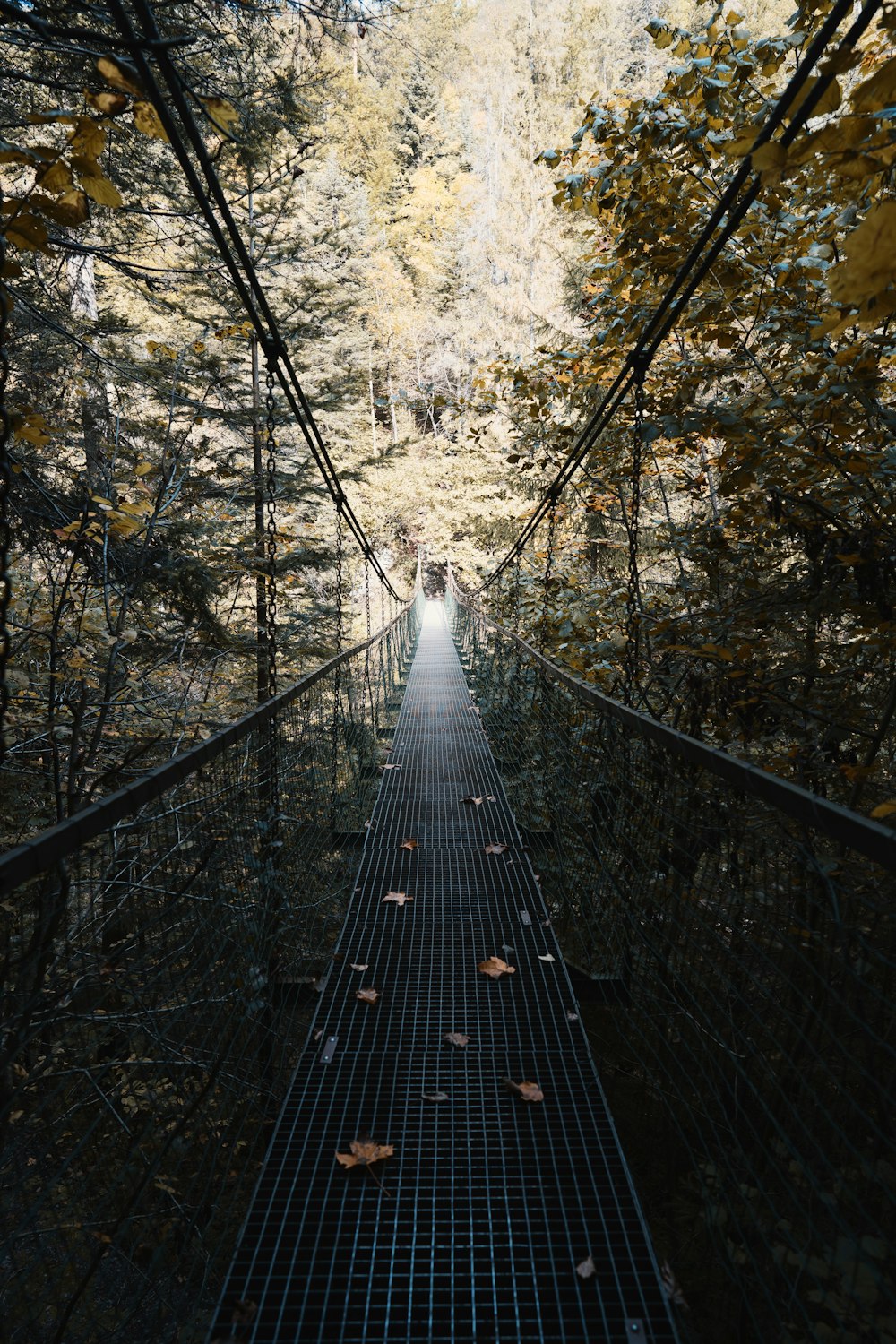 empty gray metal hanging bridge between trees