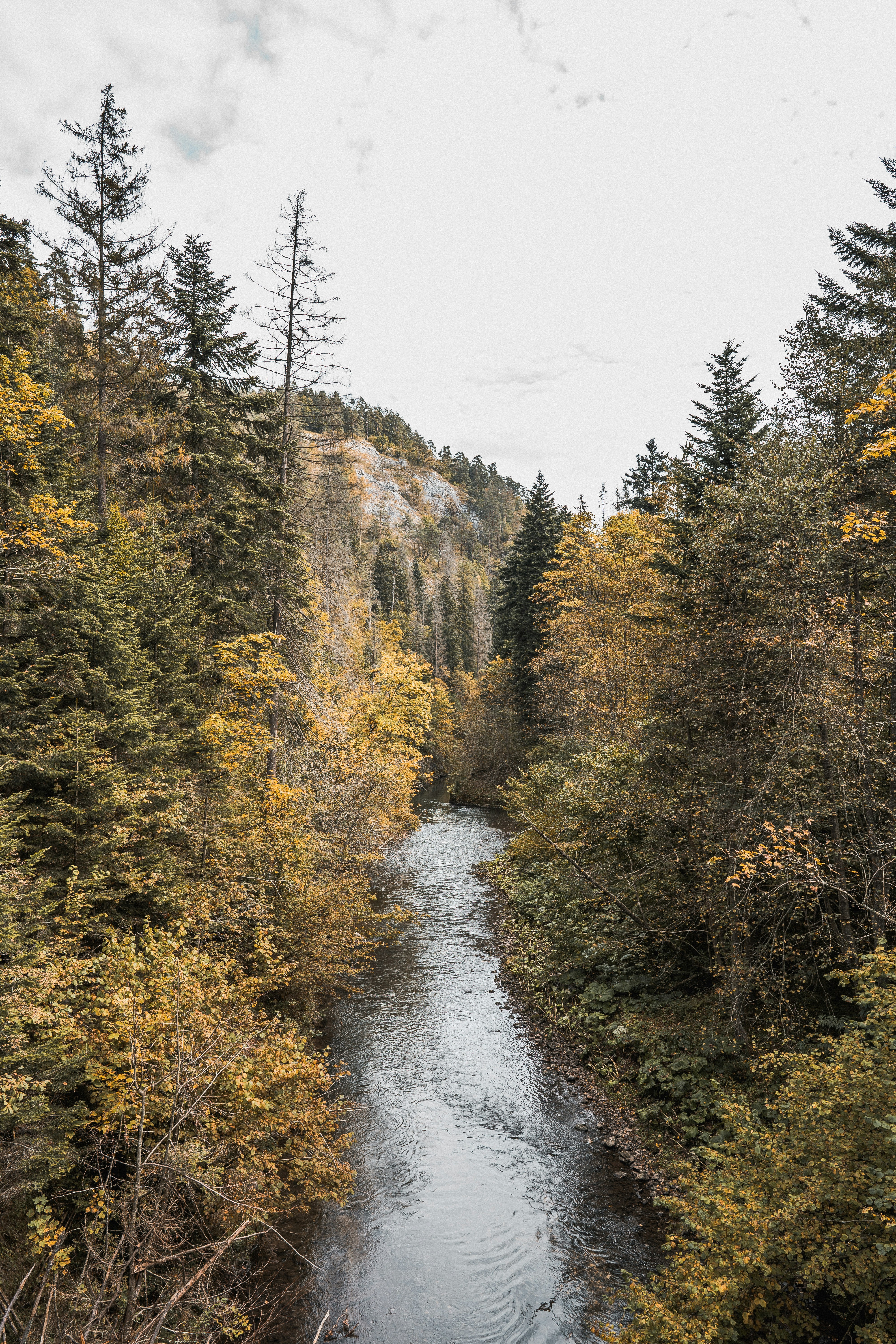 Photo by ballaschottner