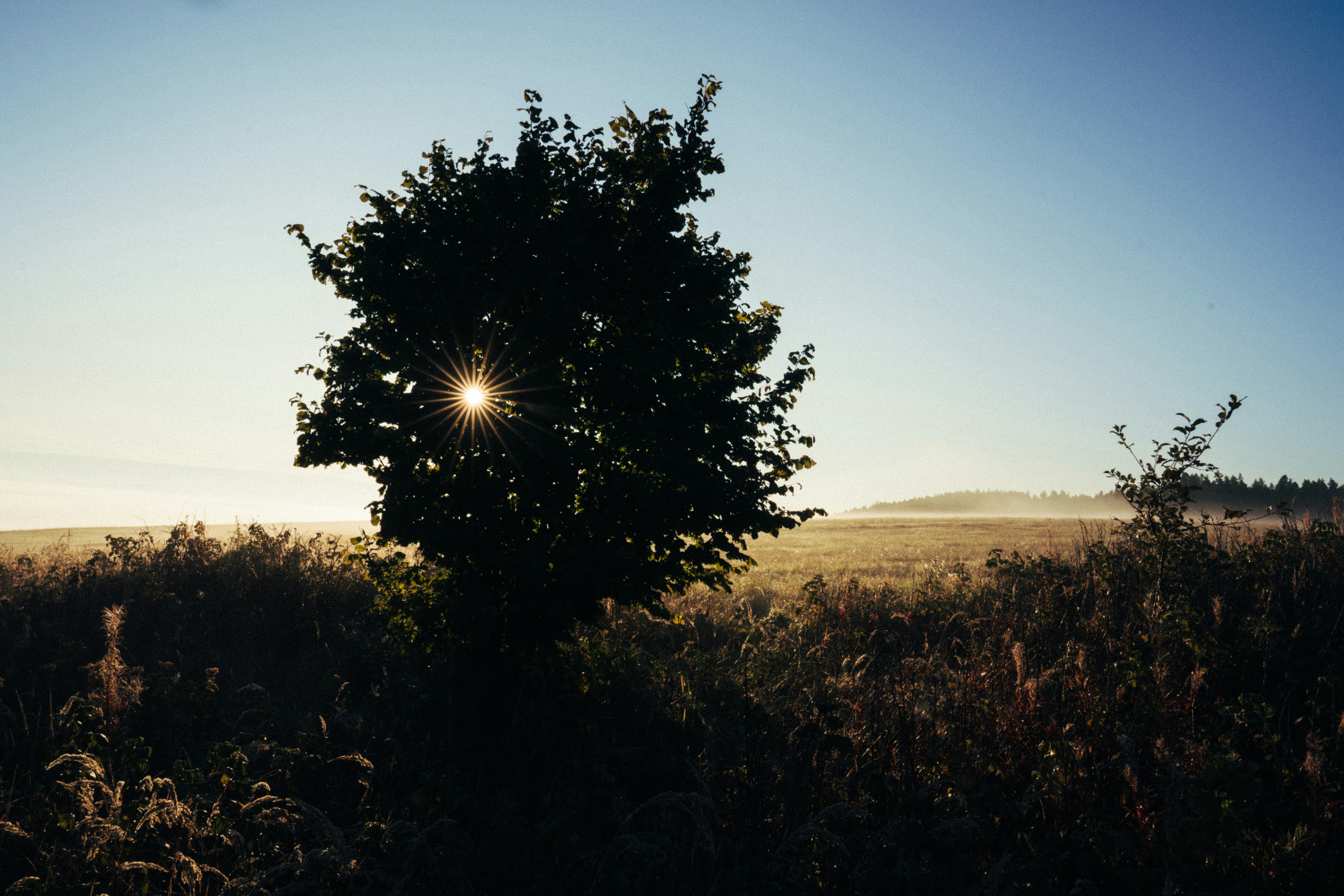 Planet Inverse header image