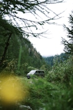 gray van near between trees