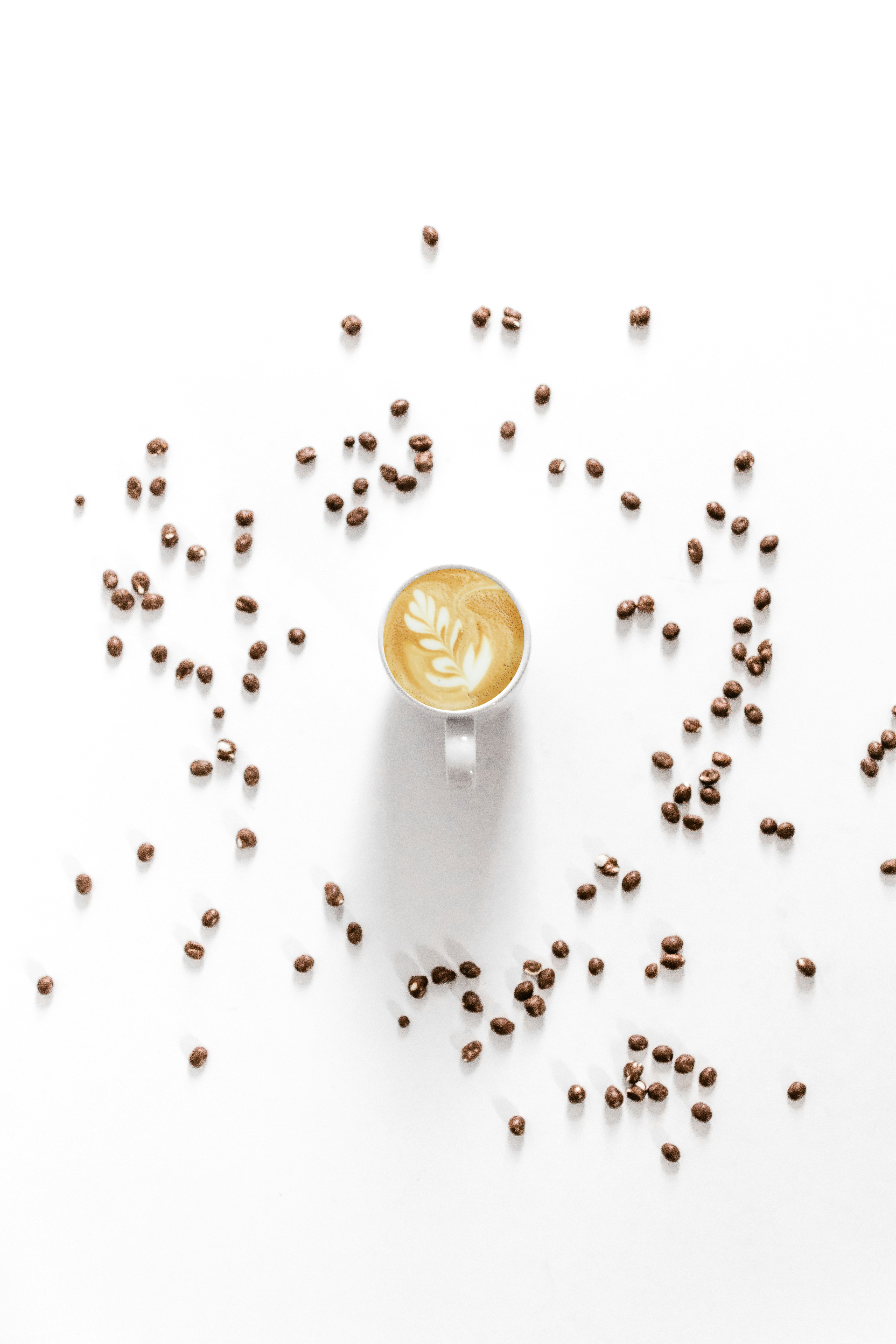 Photo by sincerelymedia