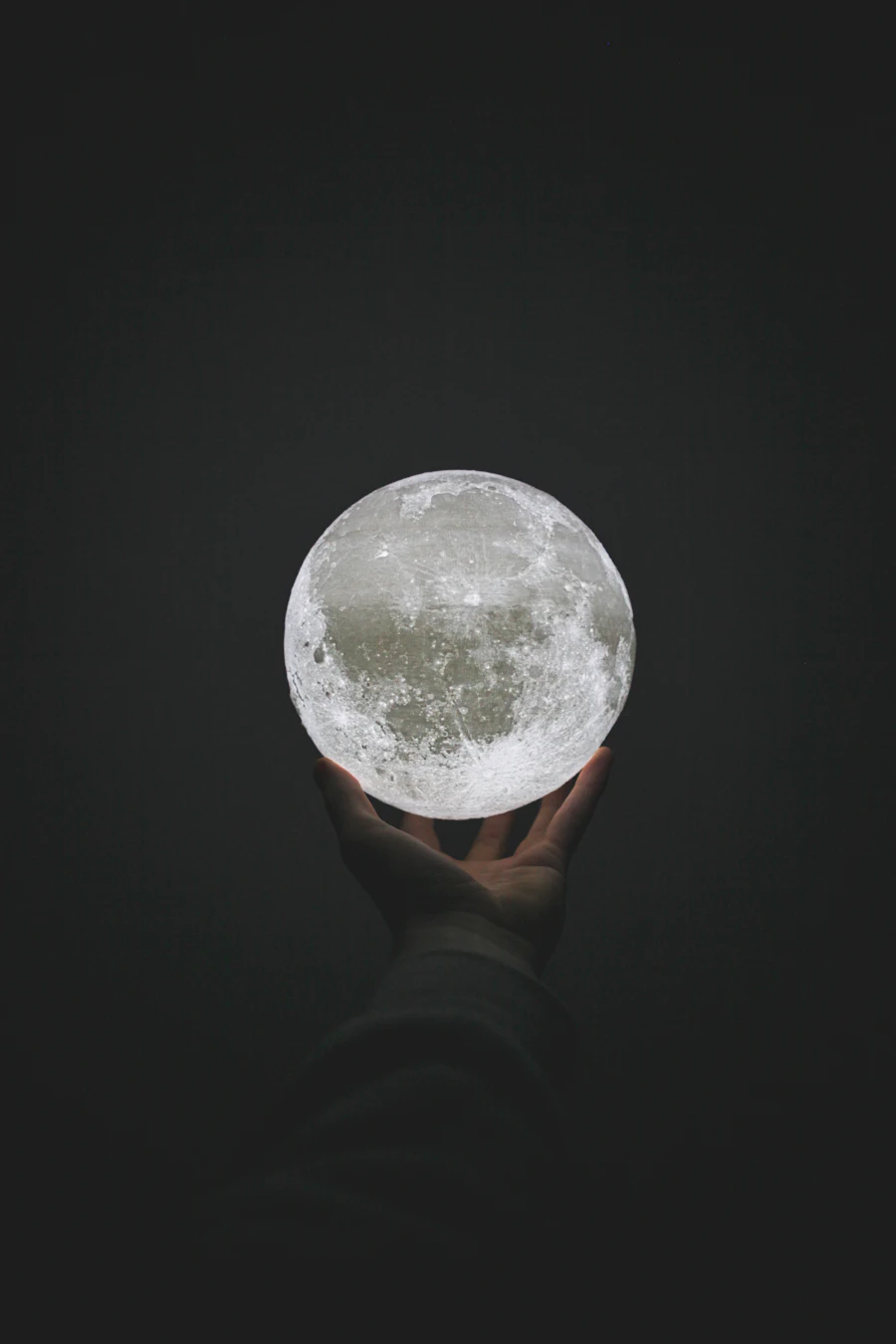https://images.unsplash.com/photo-1569852178898-9605dfd85b4a?auto=format&fit=crop&w=900&q=80