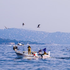 A small fishing boat navigates calm ocean waters, with a person in yellow rain gear handling equipment. Several seagulls are flying above, while distant hills with scattered buildings are visible in the background.