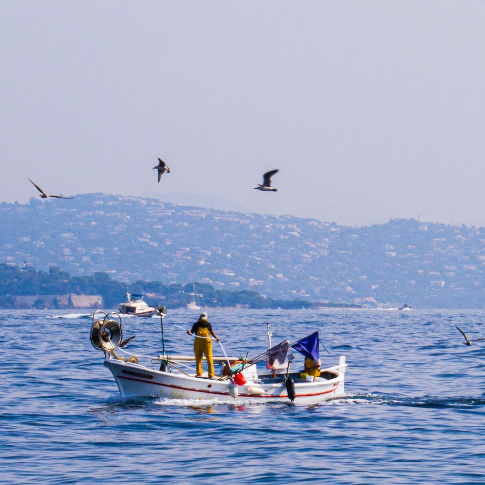 birds flying over a man in a fishing boat