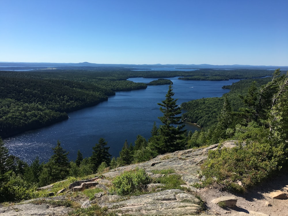 calm water surrounded by trees at daytime