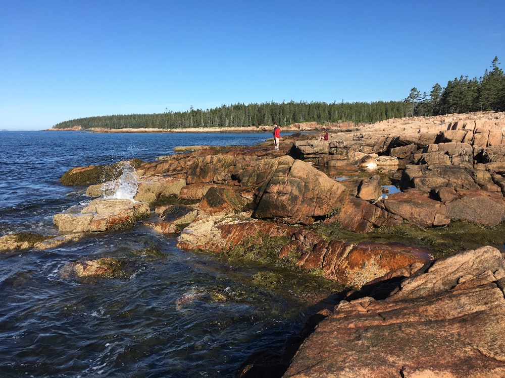 person standing on rocky hill viewing blue sea and forest during daytime