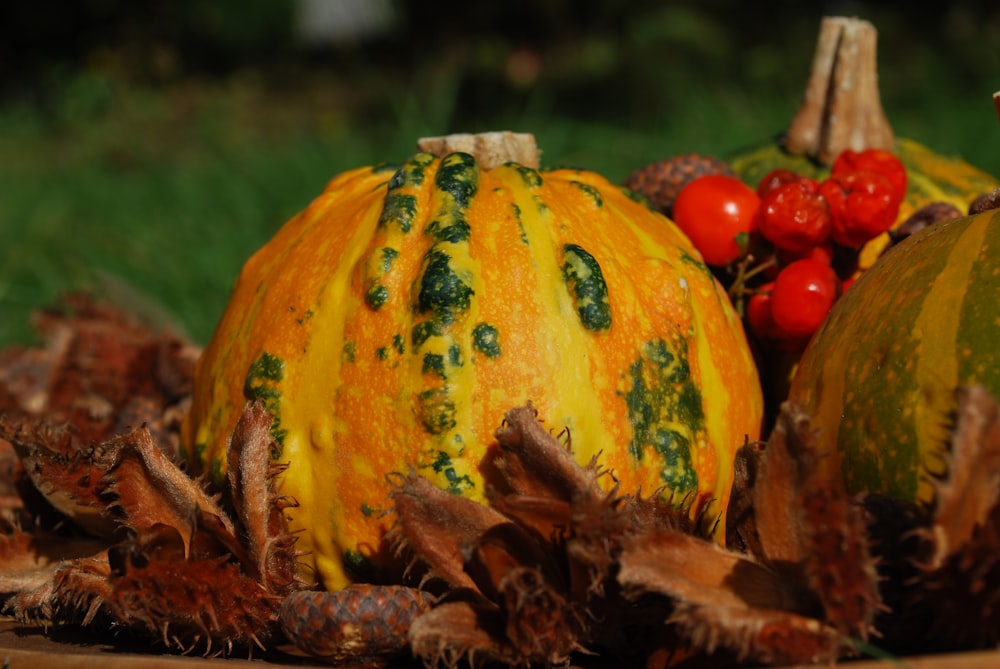 orange pumpkin