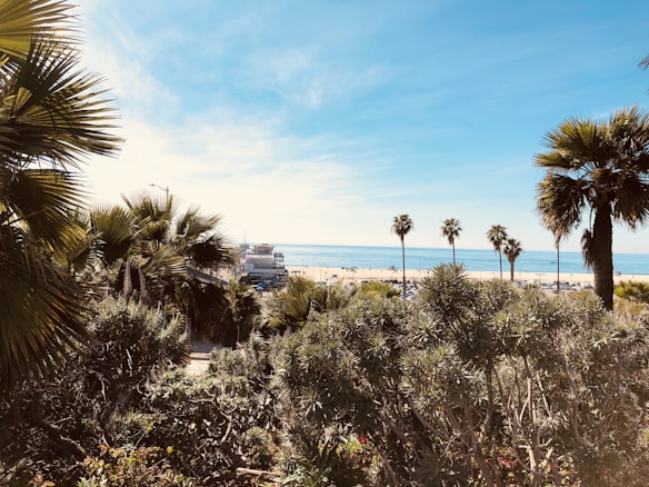 Palm trees frame a view of a bright, sunny beach and the ocean. The sky is clear with few clouds, and a boardwalk is visible in the distance along with several beachgoers.