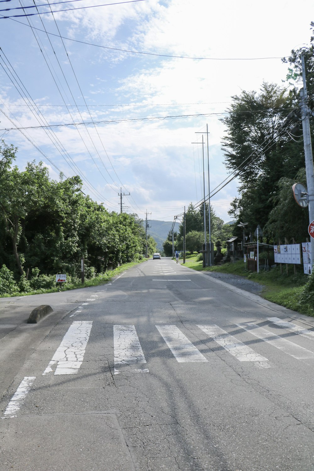 gray concrete street between green trees