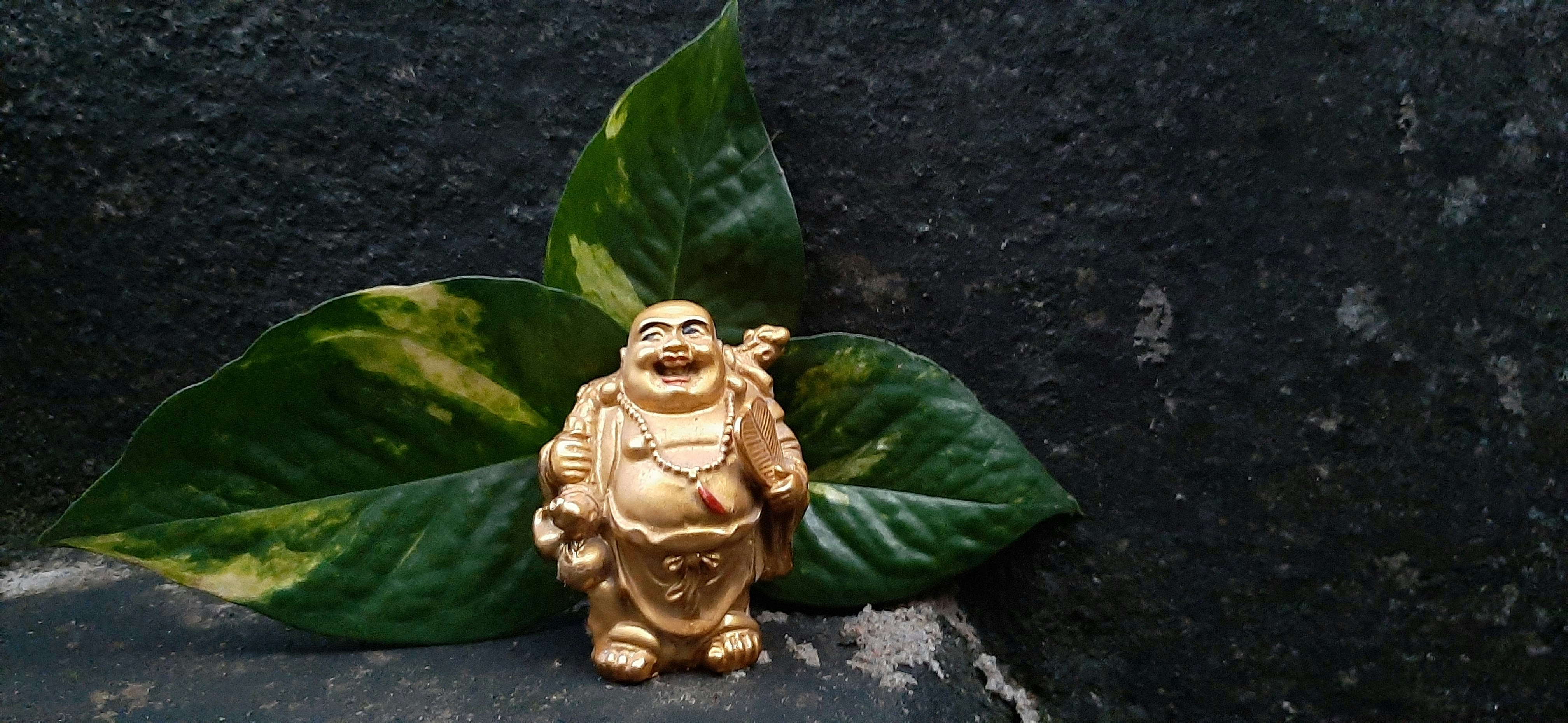 Photo by akashmehra17