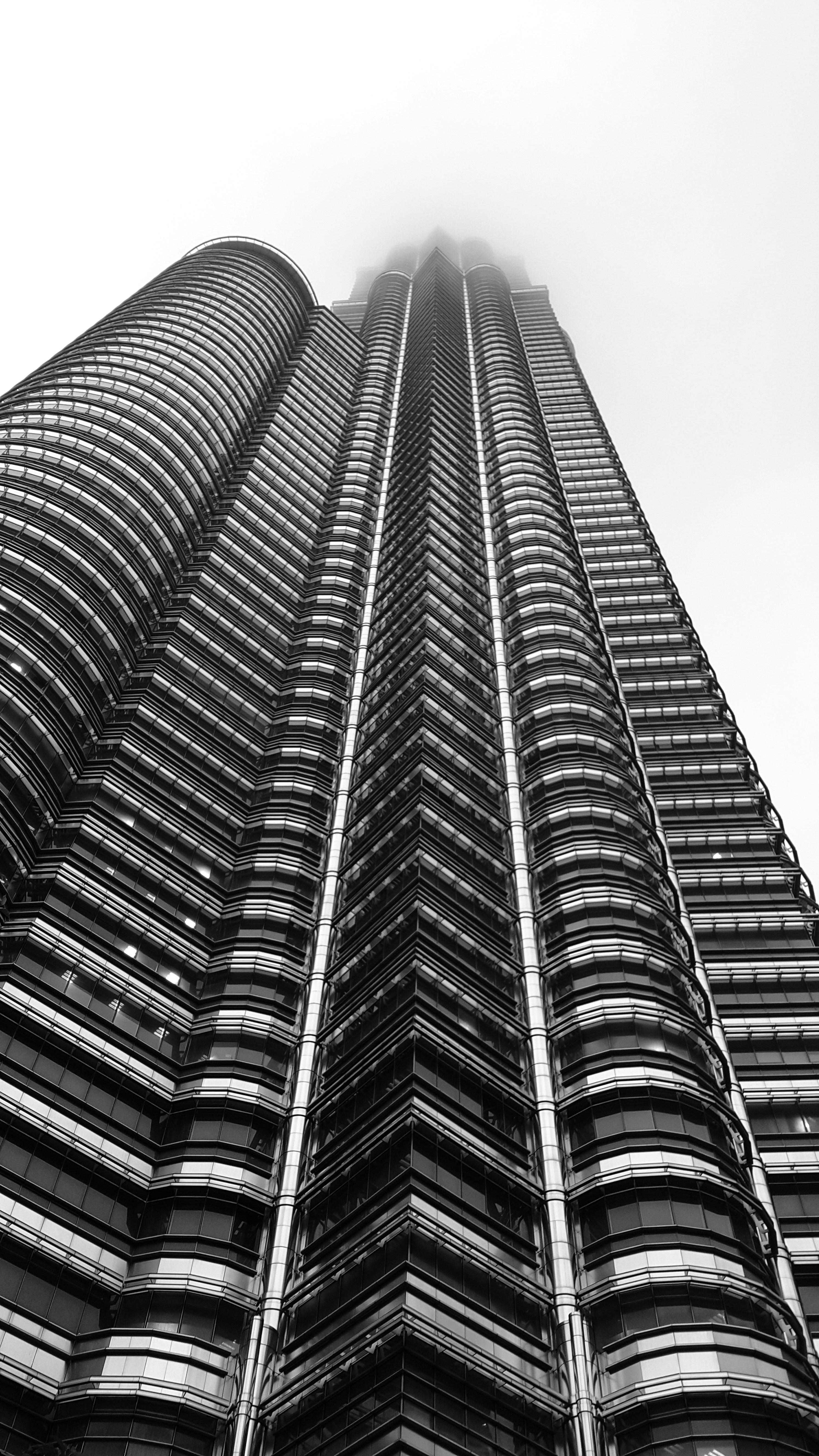 Photo by saralarious92