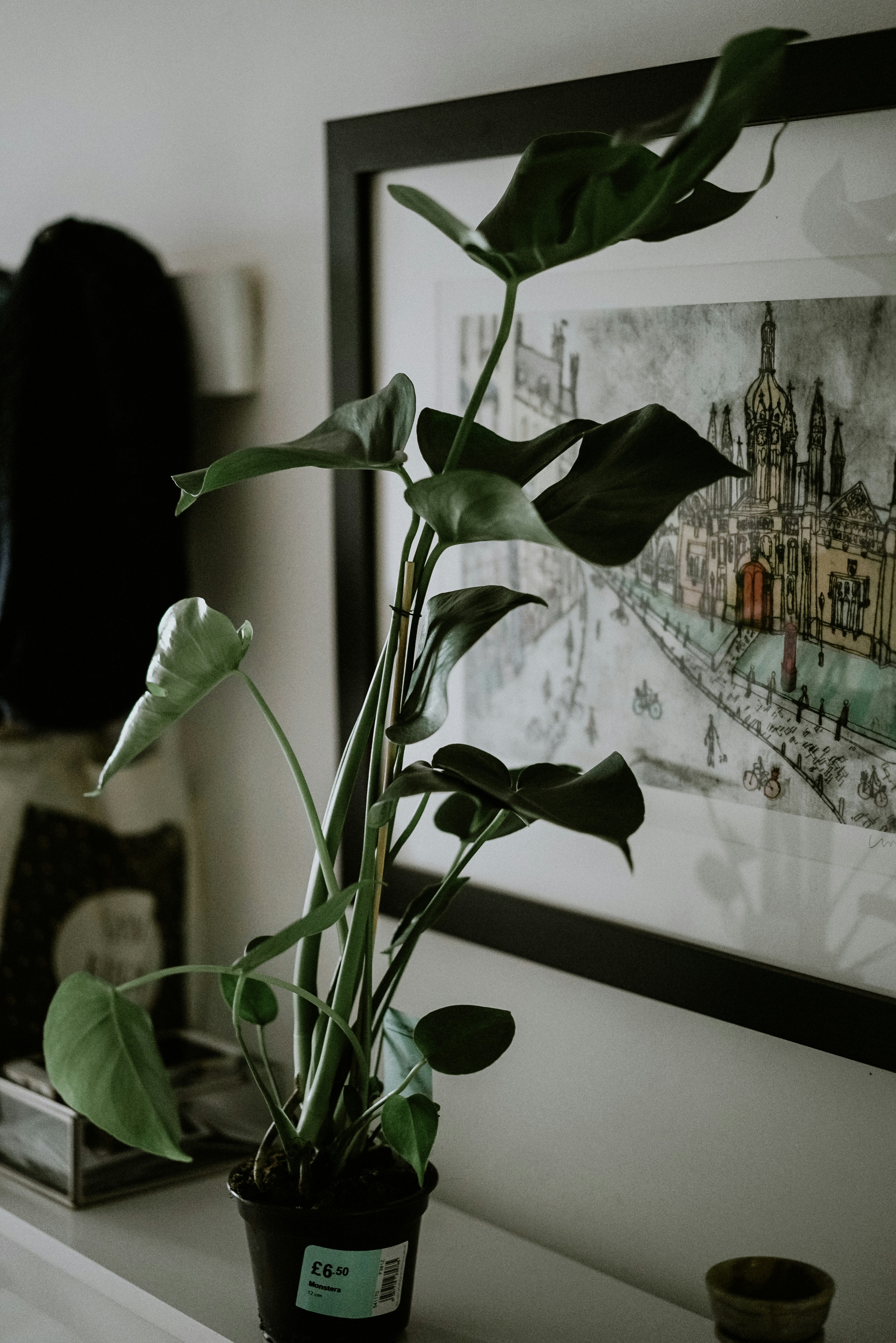 Photo by philhearing