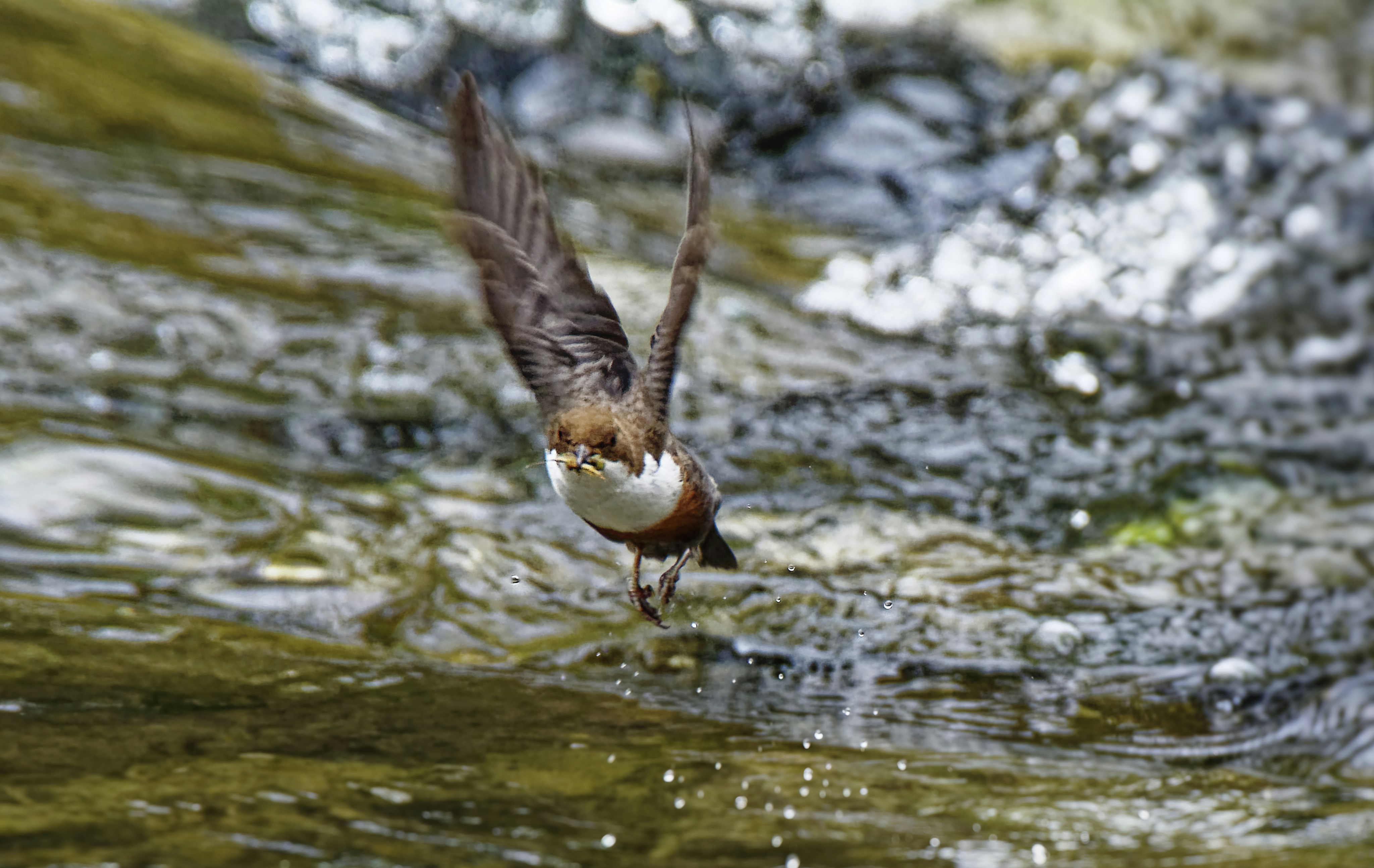 Photo by johndapps