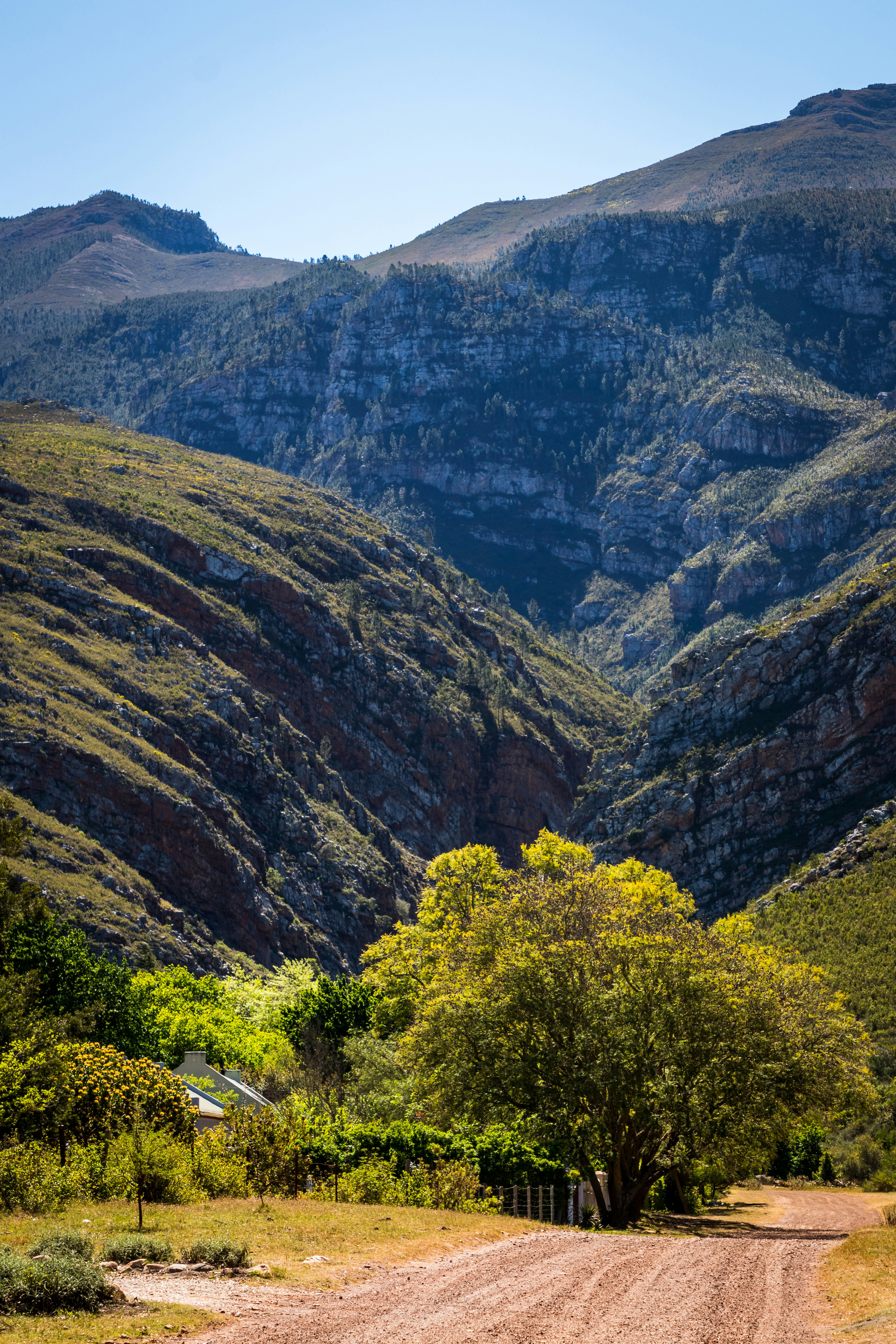 Cathedral Peak