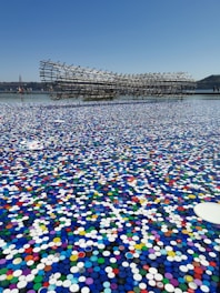 body of water