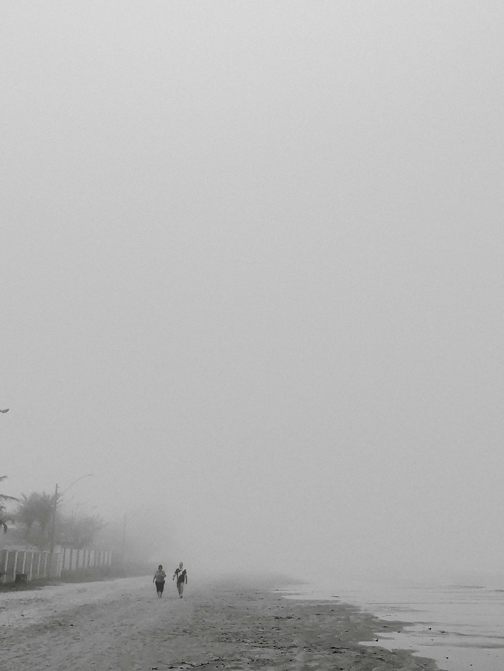 two person walking on seashore